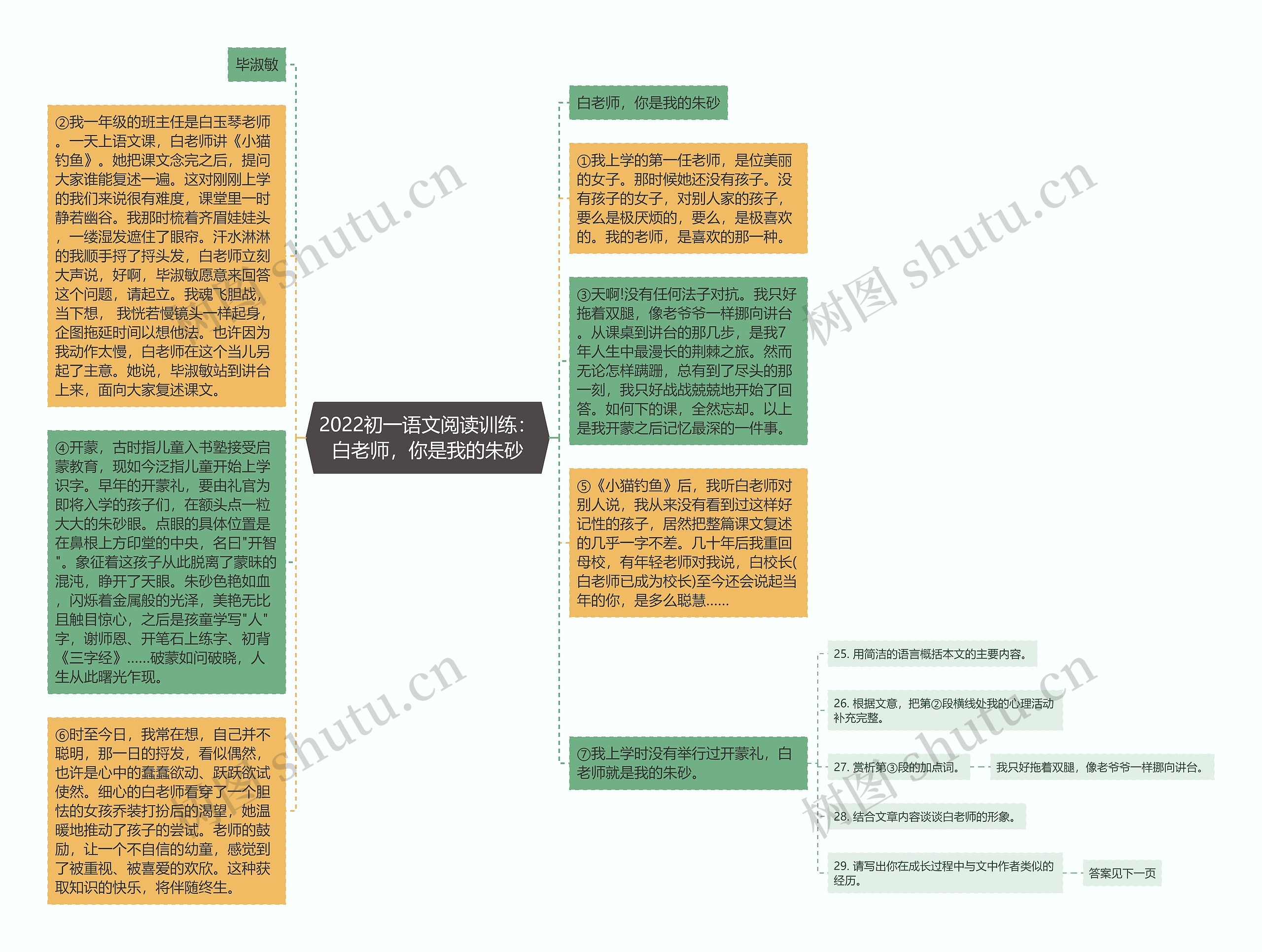 2022初一语文阅读训练：白老师，你是我的朱砂思维导图