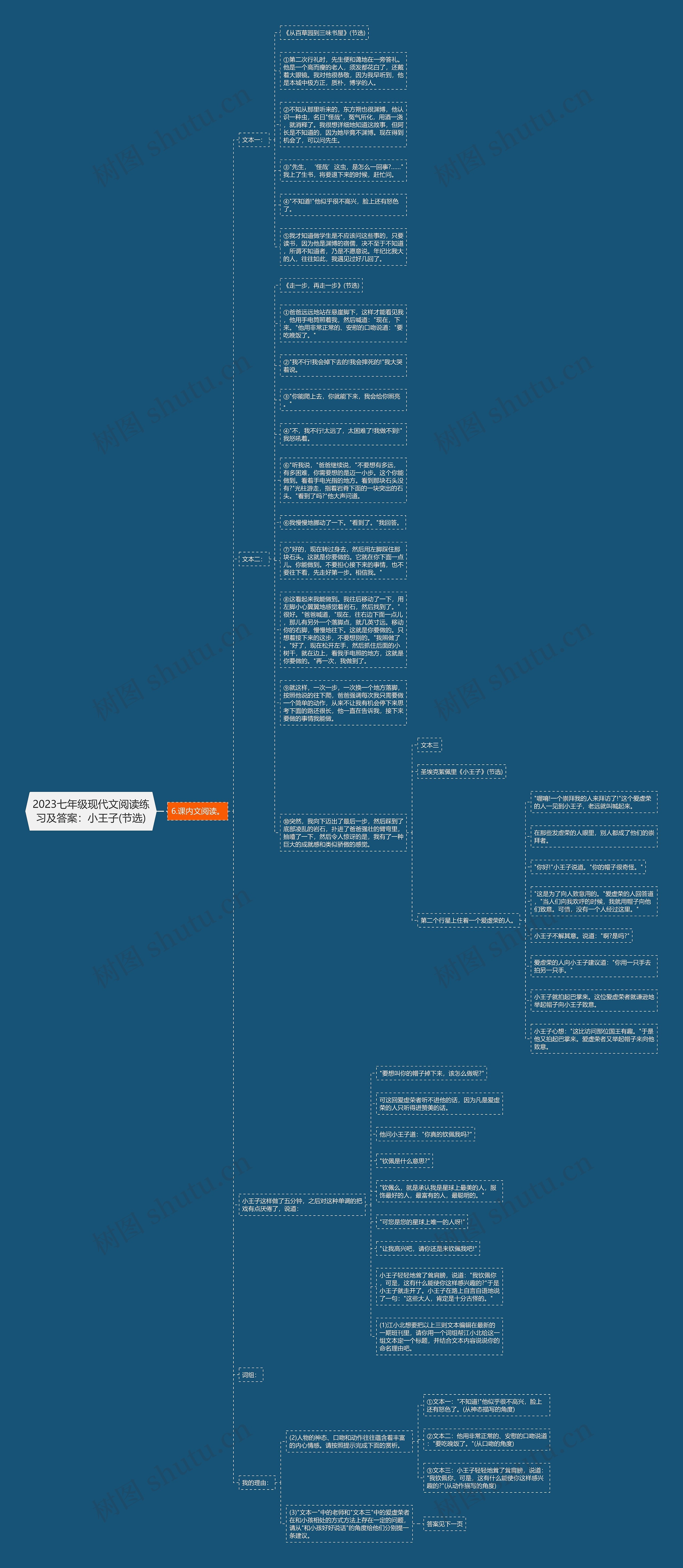 2023七年级现代文阅读练习及答案：小王子(节选)思维导图