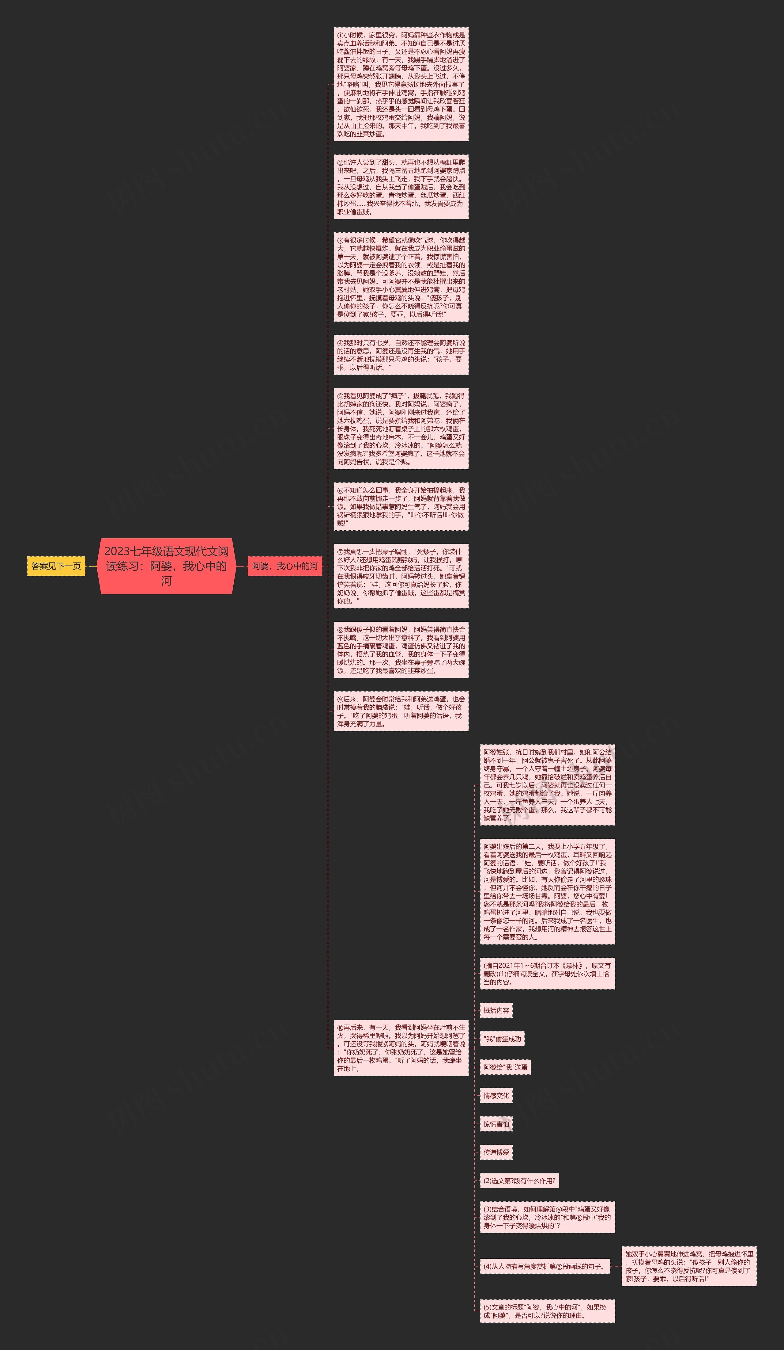 2023七年级语文现代文阅读练习：阿婆，我心中的河思维导图