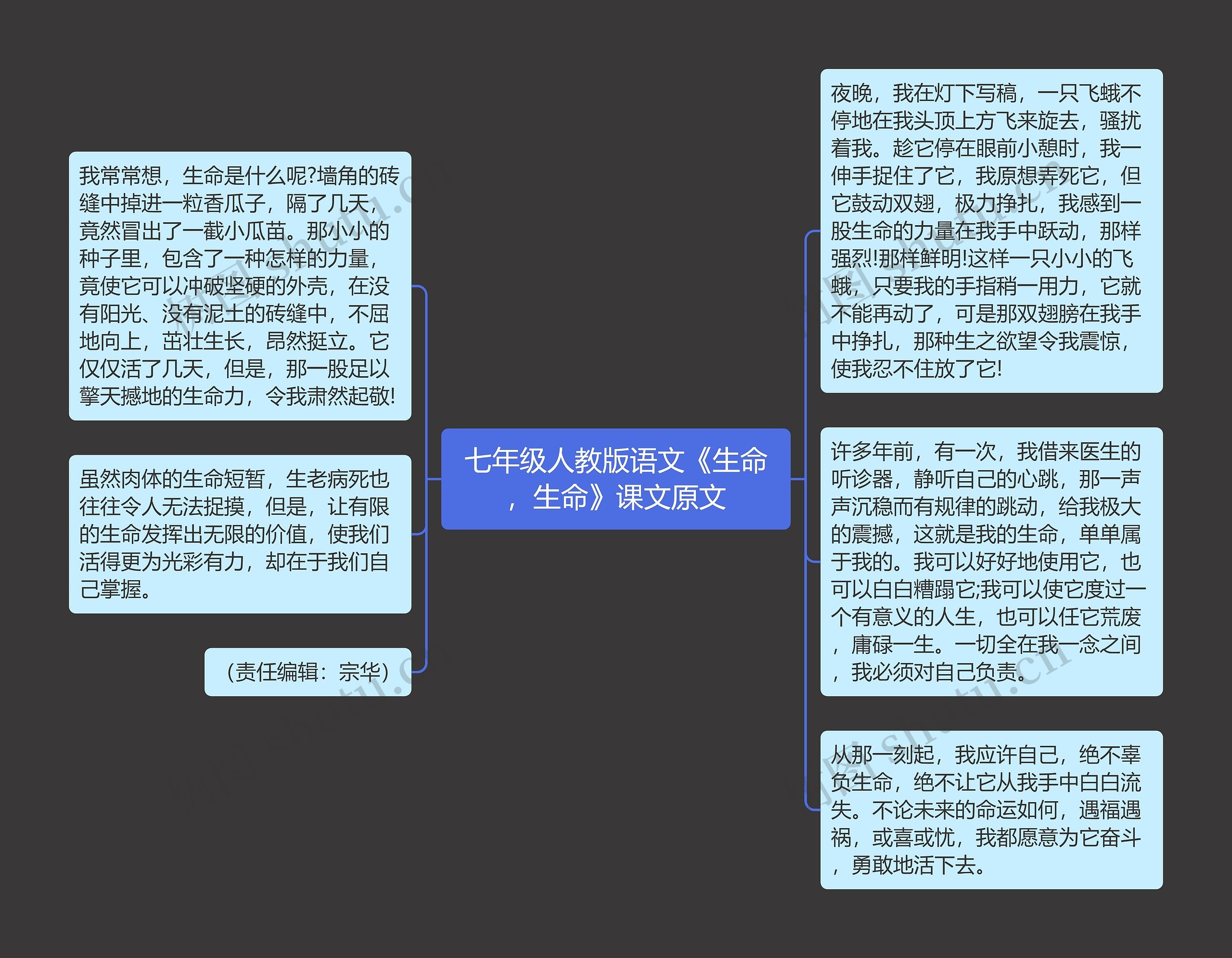 七年级人教版语文《生命，生命》课文原文思维导图