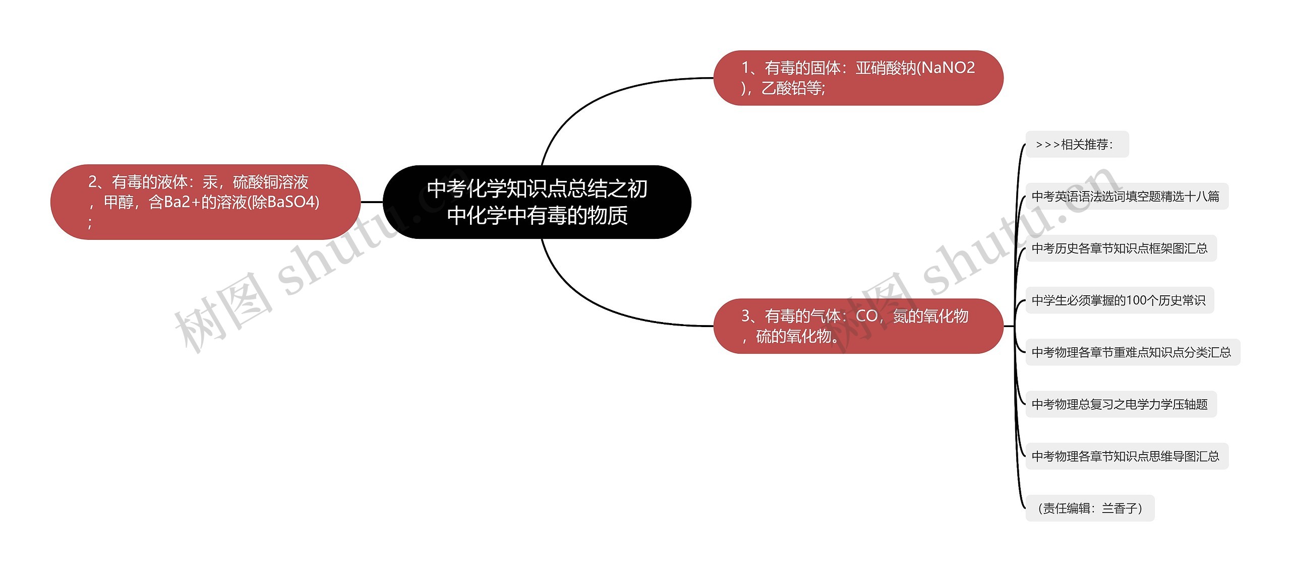 中考化学知识点总结之初中化学中有毒的物质思维导图