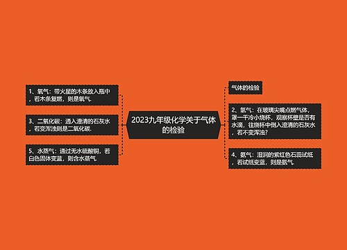 2023九年级化学关于气体的检验