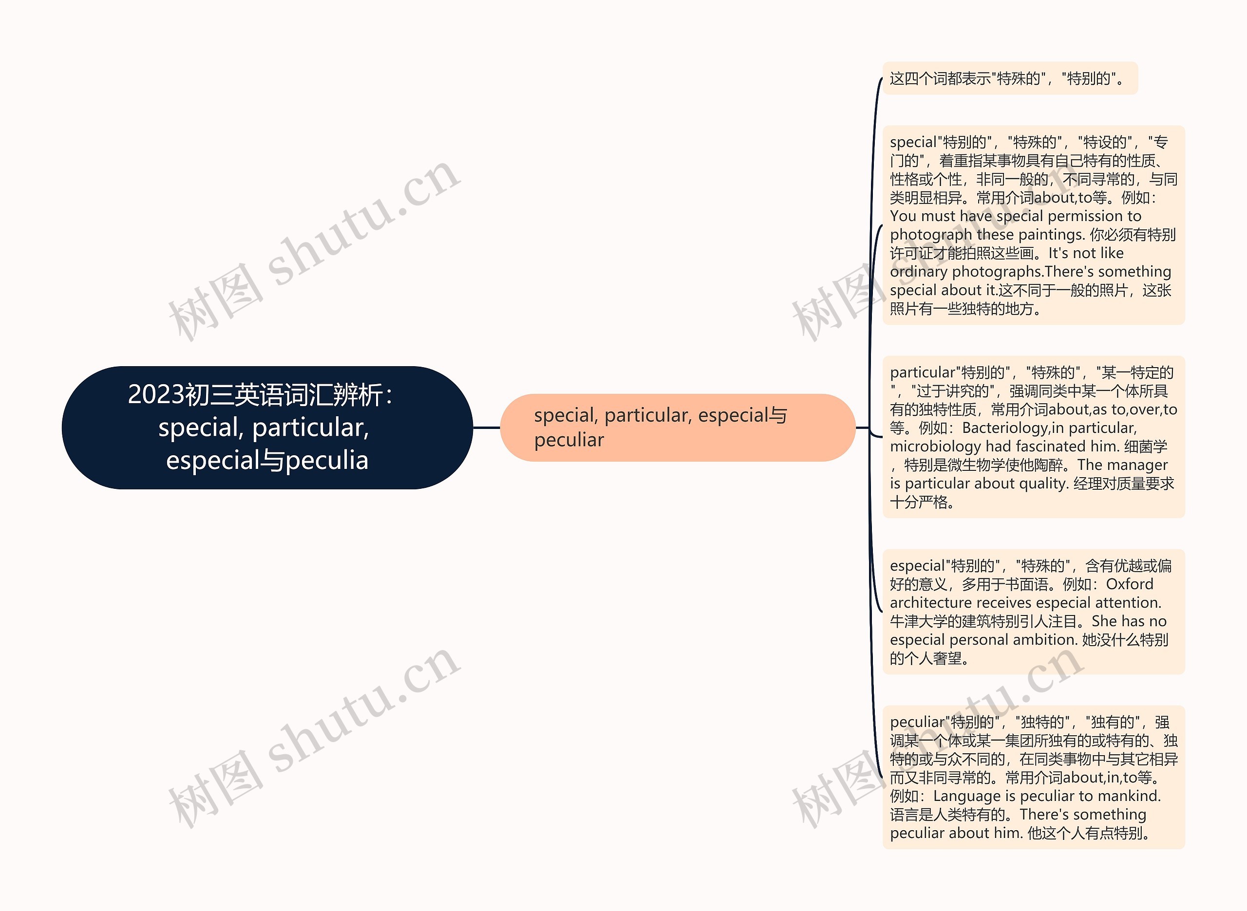 2023初三英语词汇辨析：special, particular, especial与peculia思维导图