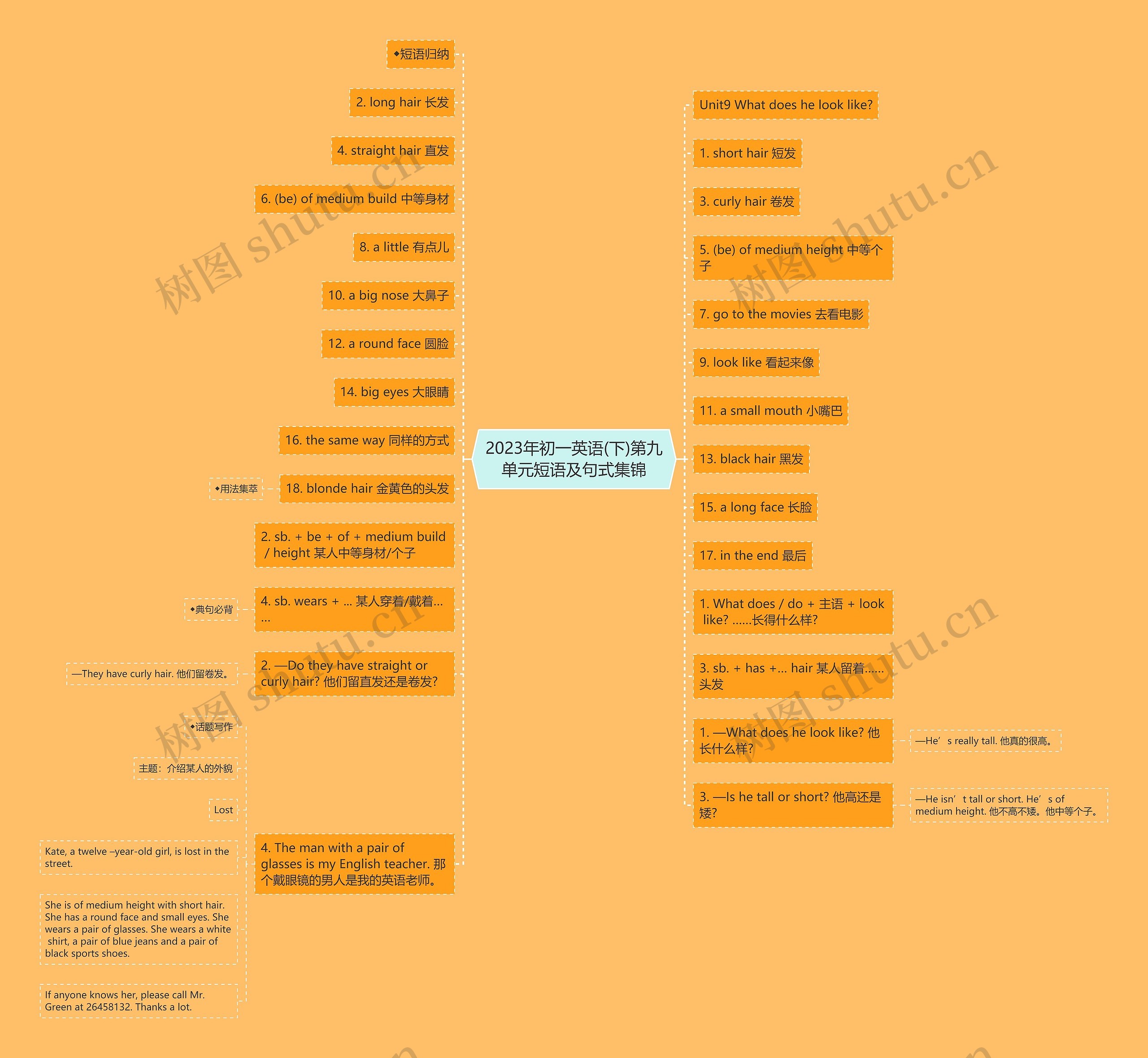 2023年初一英语(下)第九单元短语及句式集锦思维导图