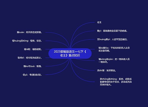 2023部编版语文—七下《老王》重点知识