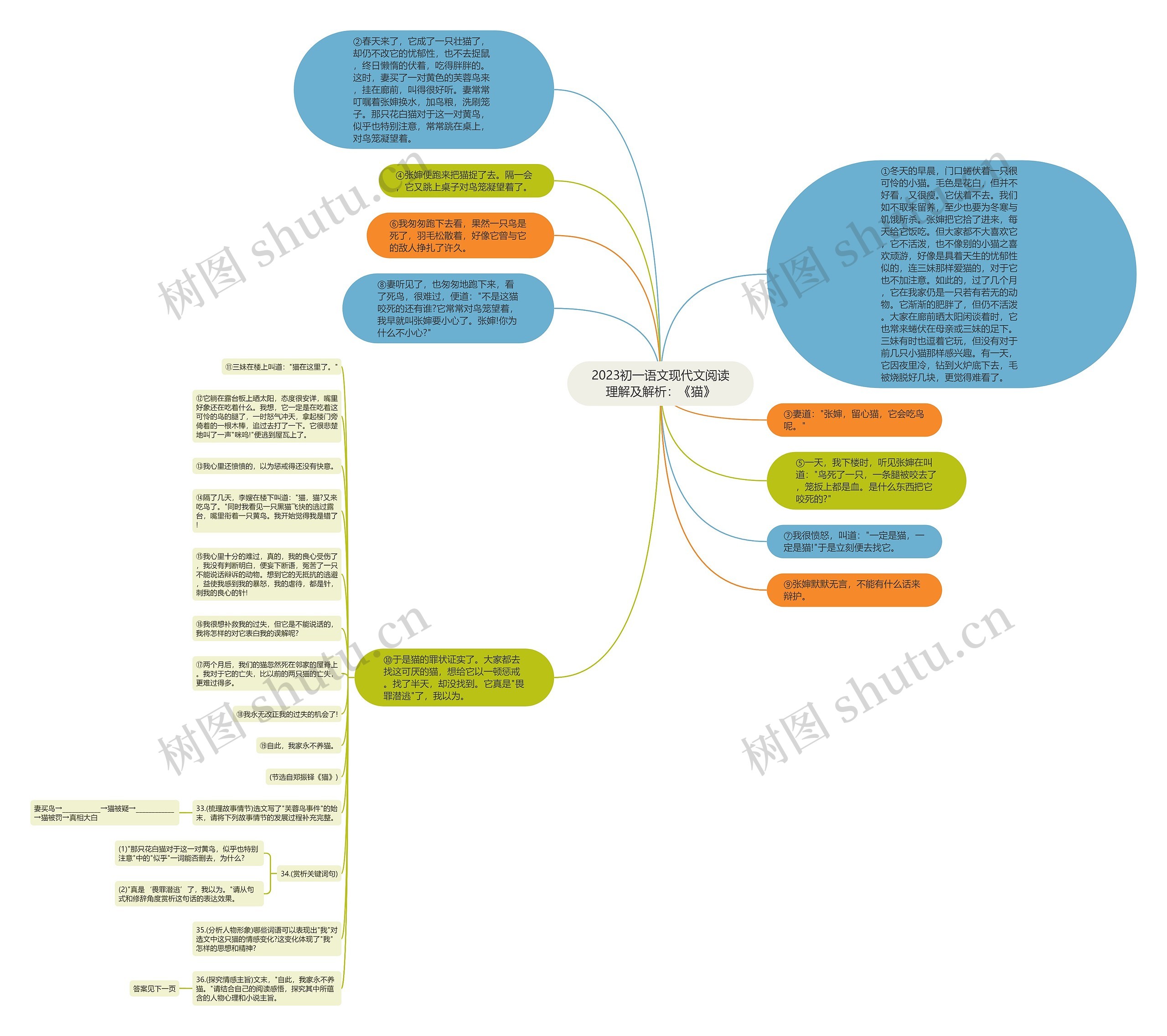 2023初一语文现代文阅读理解及解析：《猫》思维导图