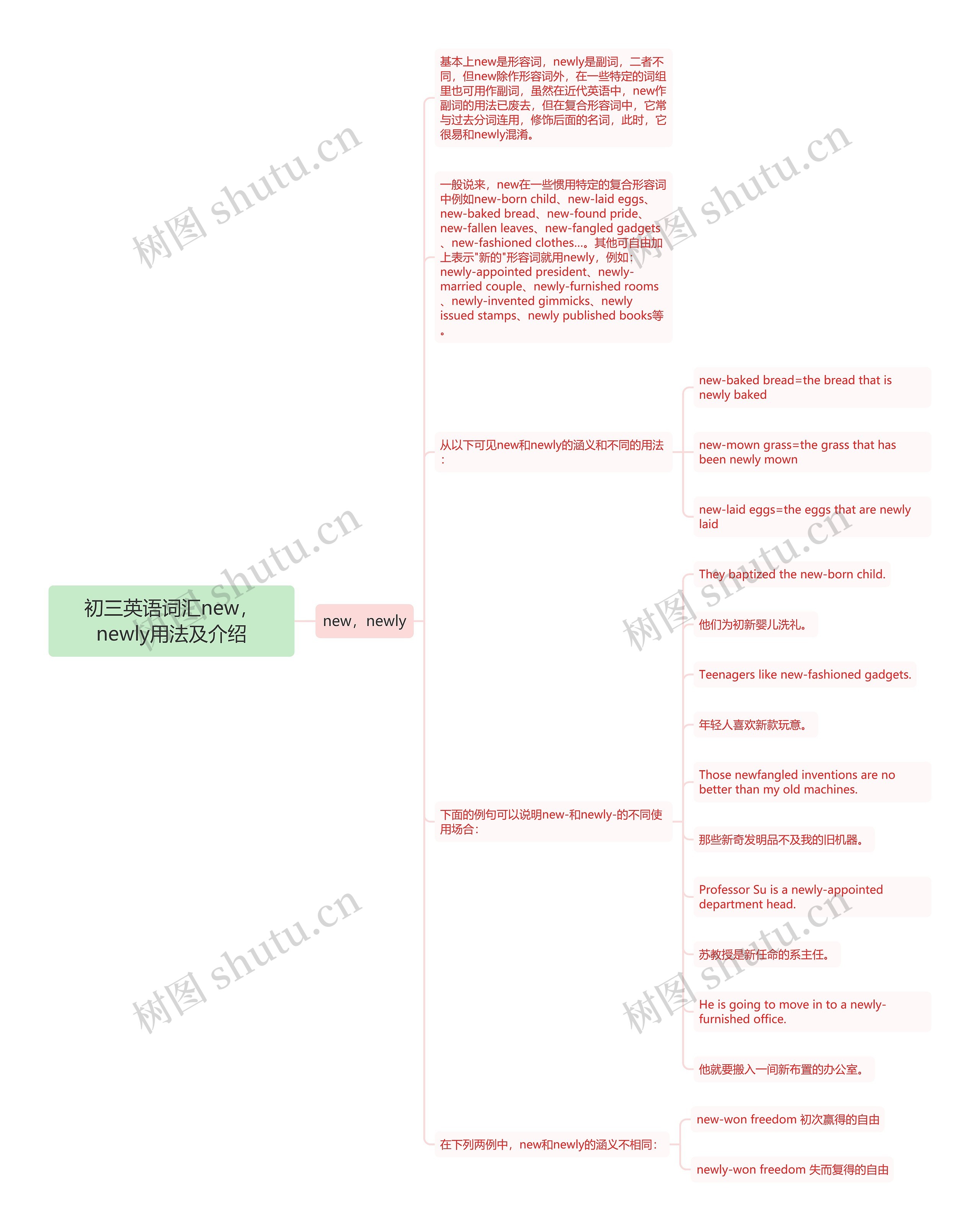 初三英语词汇new，newly用法及介绍思维导图