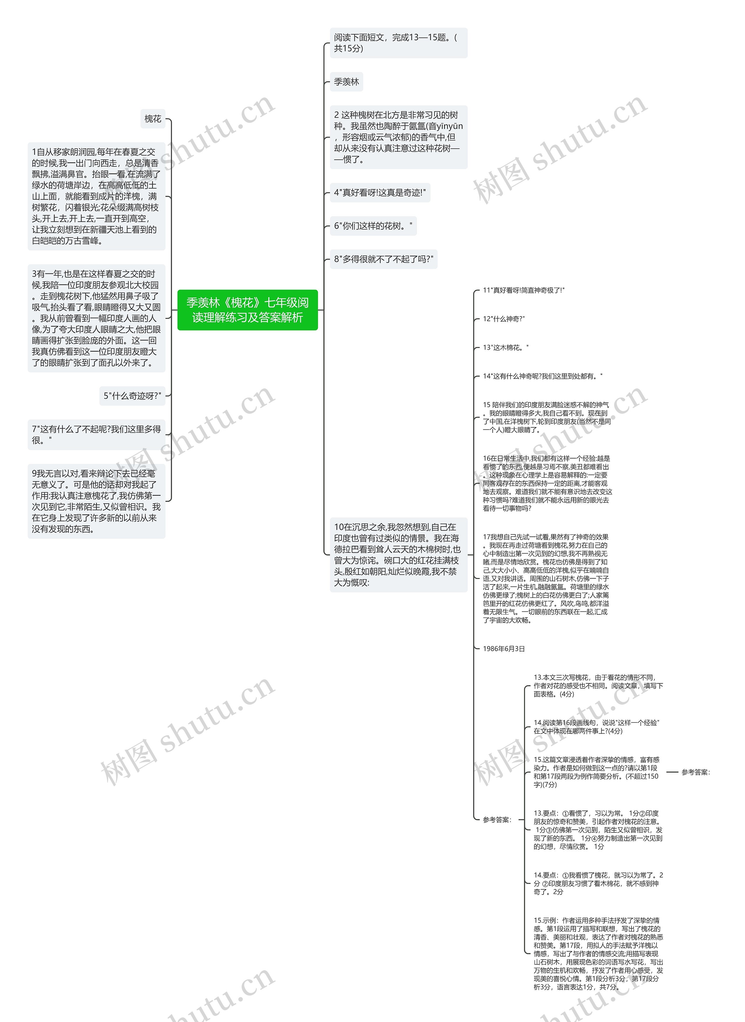 季羡林《槐花》七年级阅读理解练习及答案解析思维导图