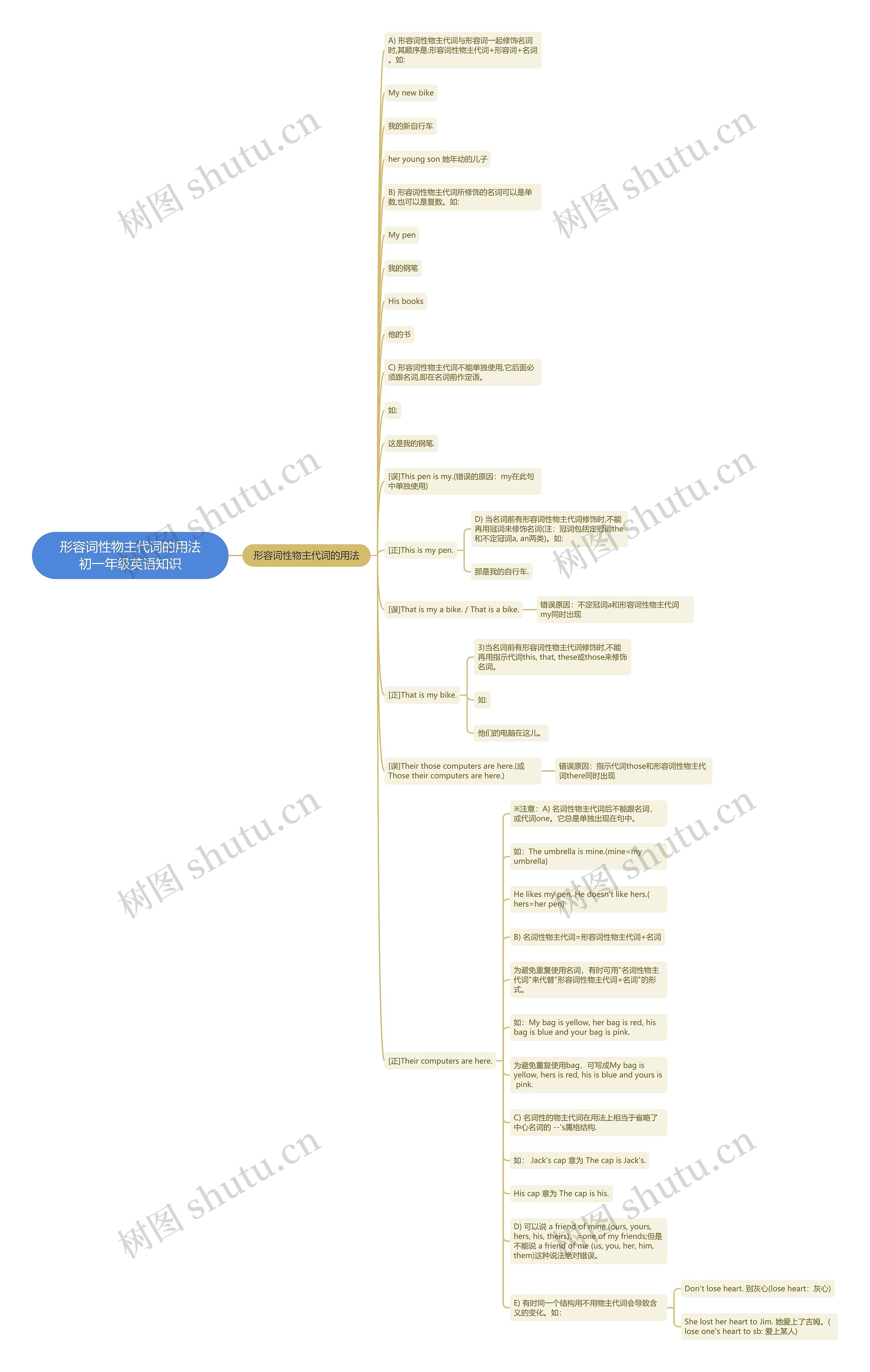 形容词性物主代词的用法初一年级英语知识思维导图高清图 形容词性物主代词的用法初一年级英语知识思维导图