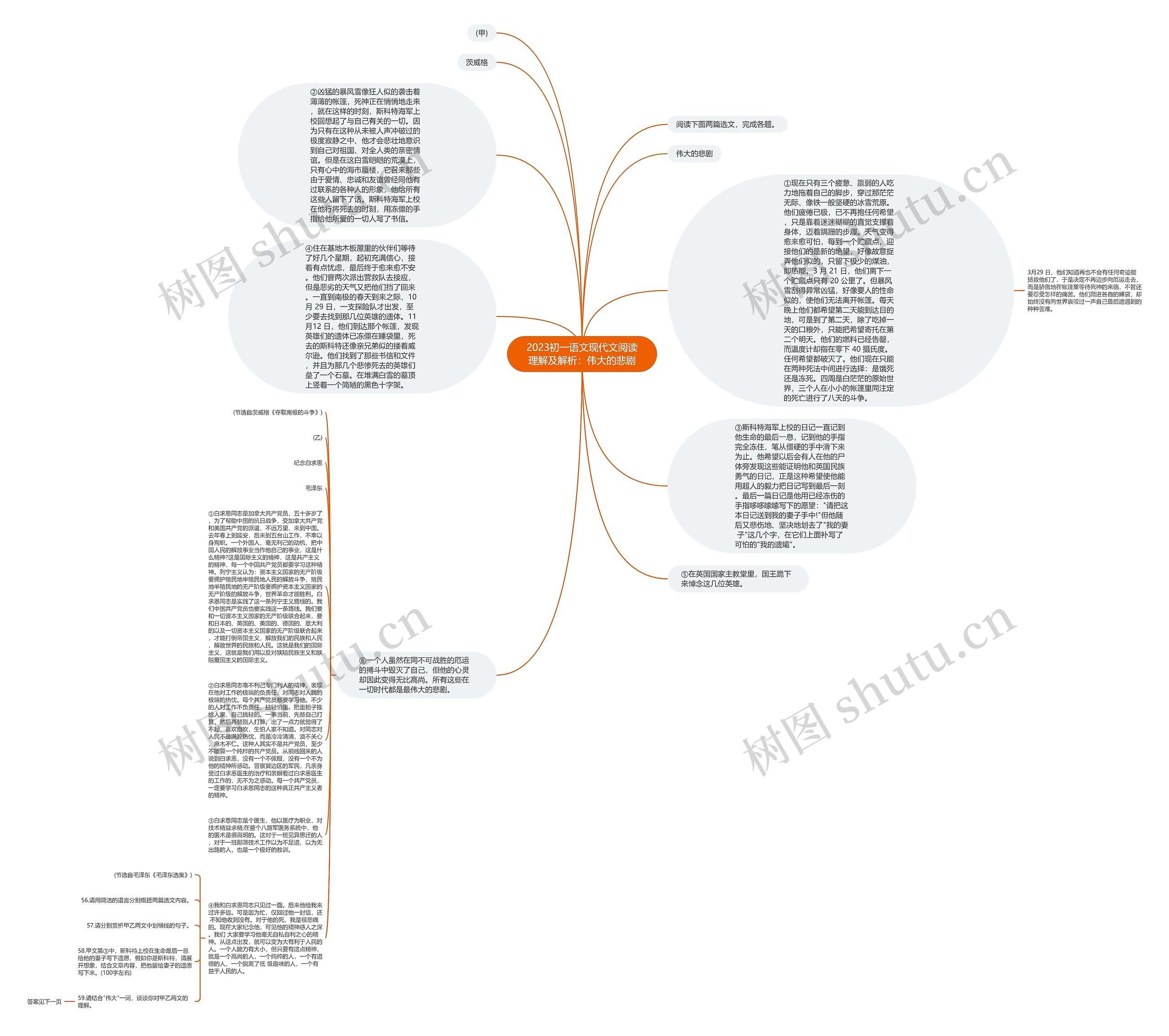 2023初一语文现代文阅读理解及解析：伟大的悲剧思维导图