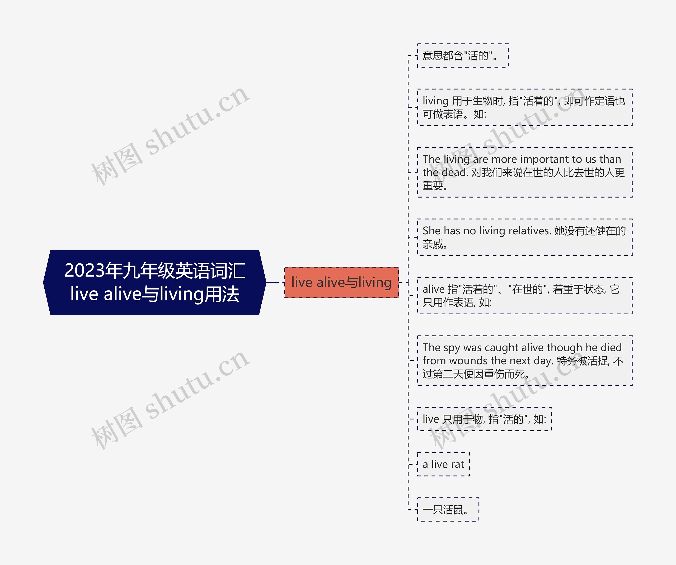 2023年九年级英语词汇live alive与living用法