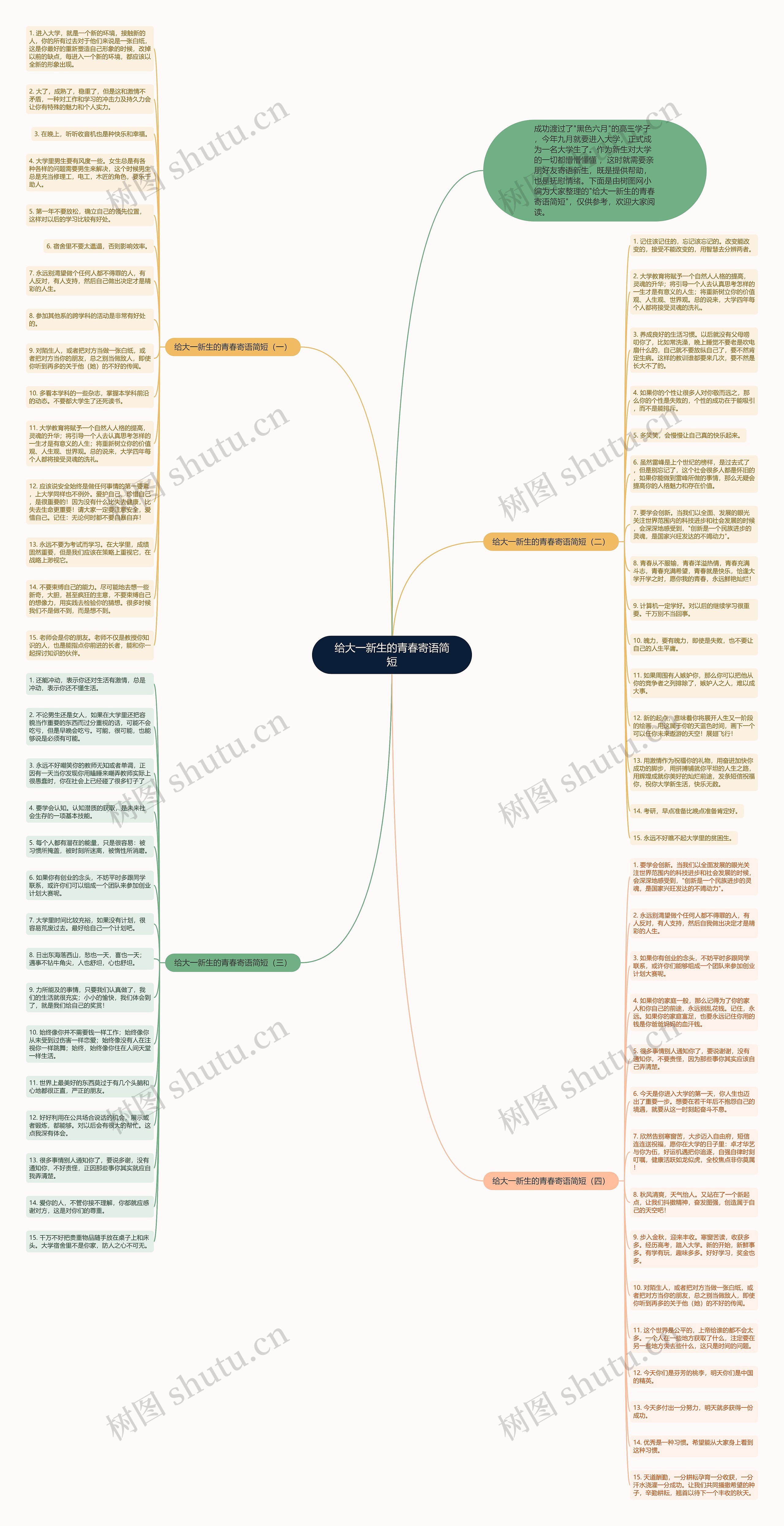 给大一新生的青春寄语简短思维导图