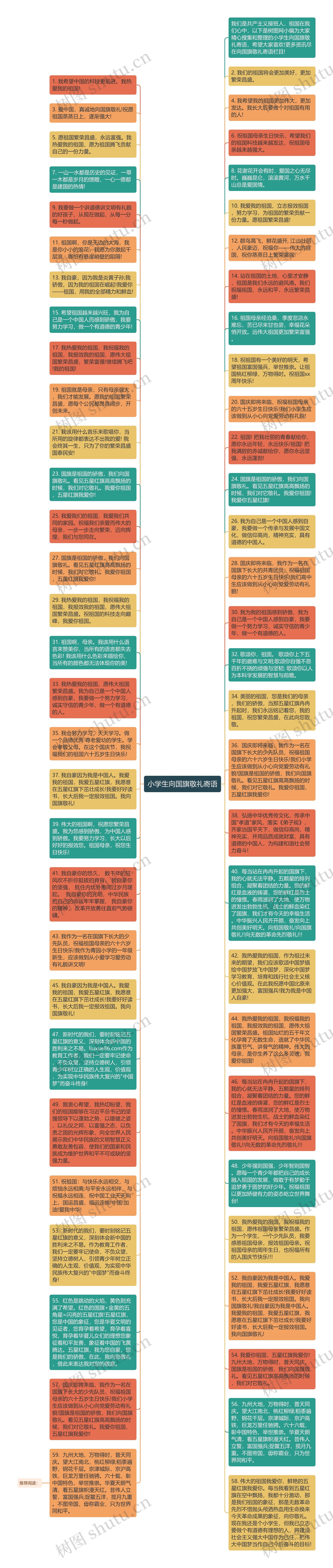 小学生向国旗敬礼寄语