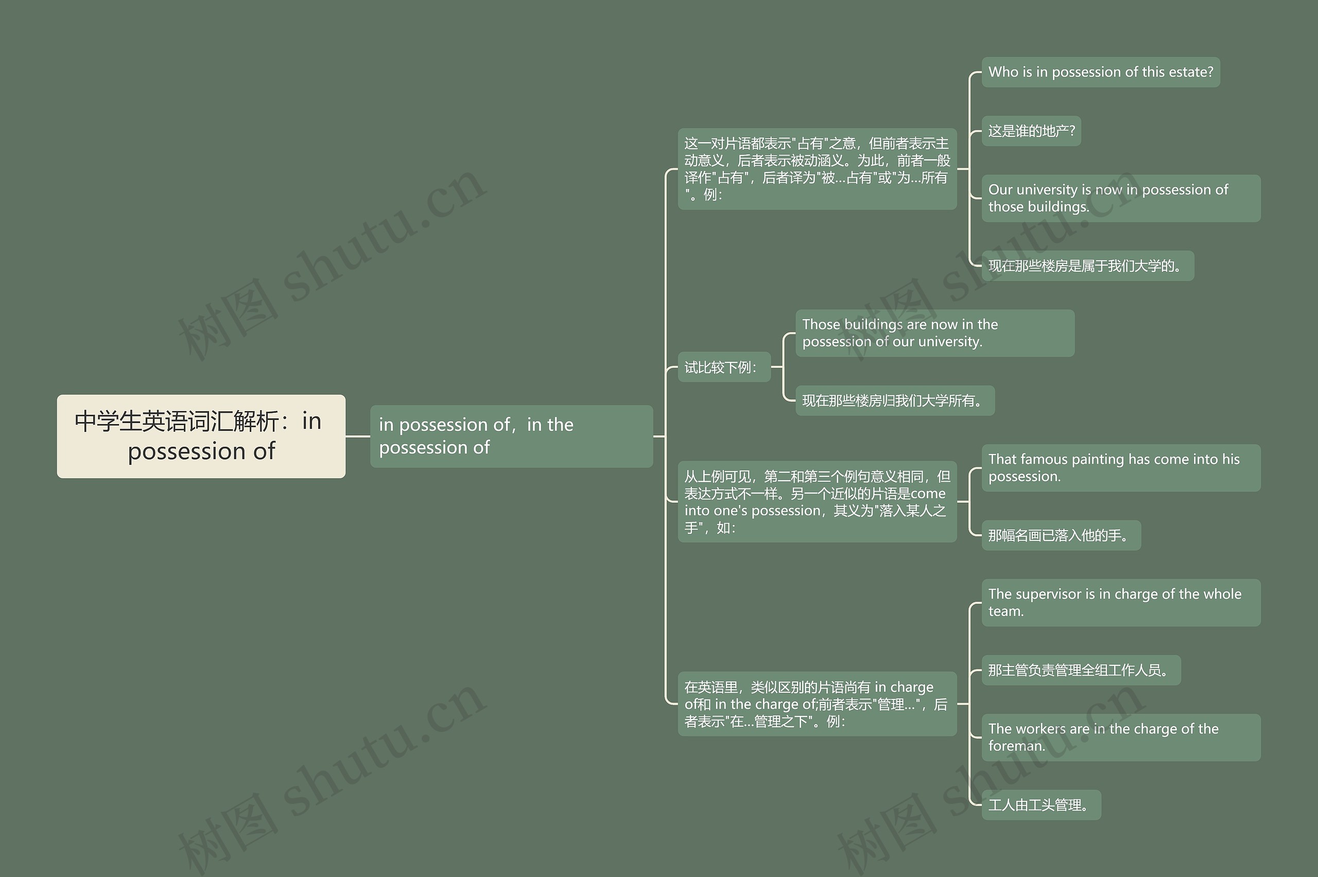 中学生英语词汇解析：in possession of思维导图