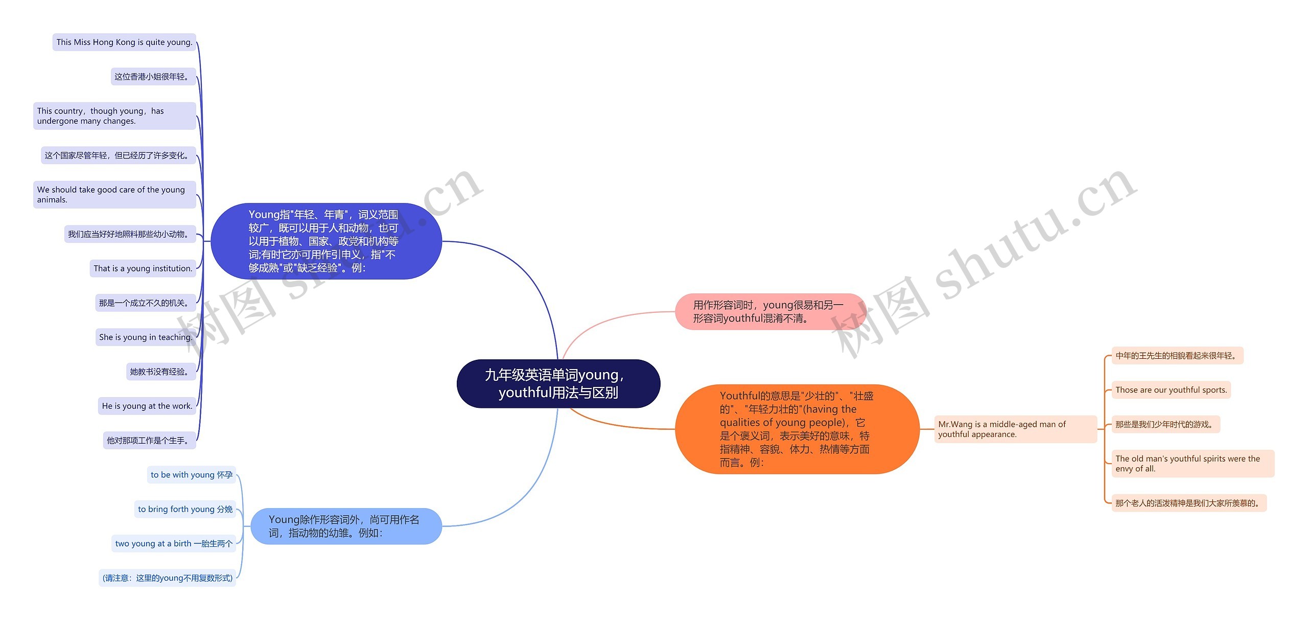 九年级英语单词young，youthful用法与区别思维导图