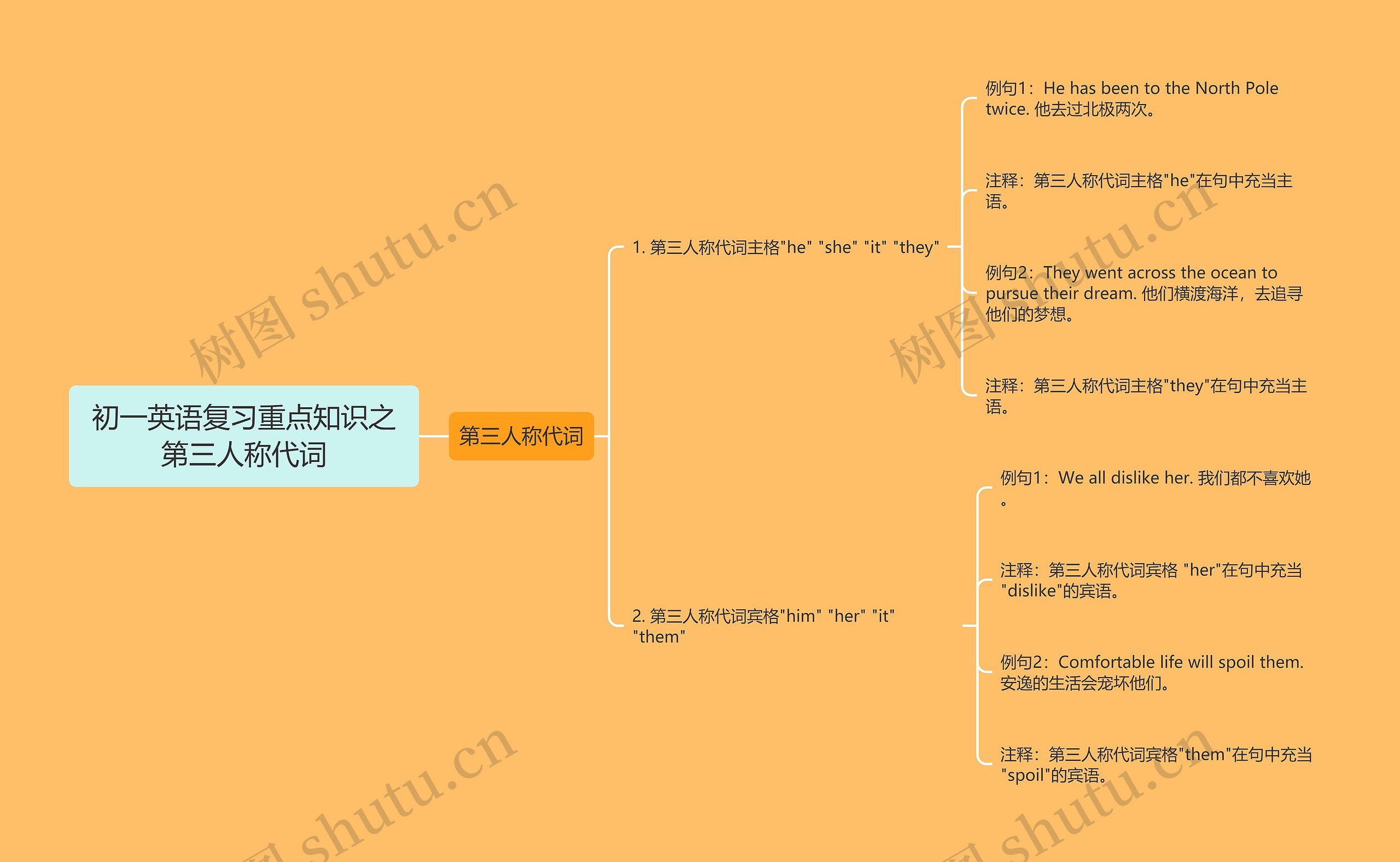 初一英语复习重点知识之第三人称代词思维导图