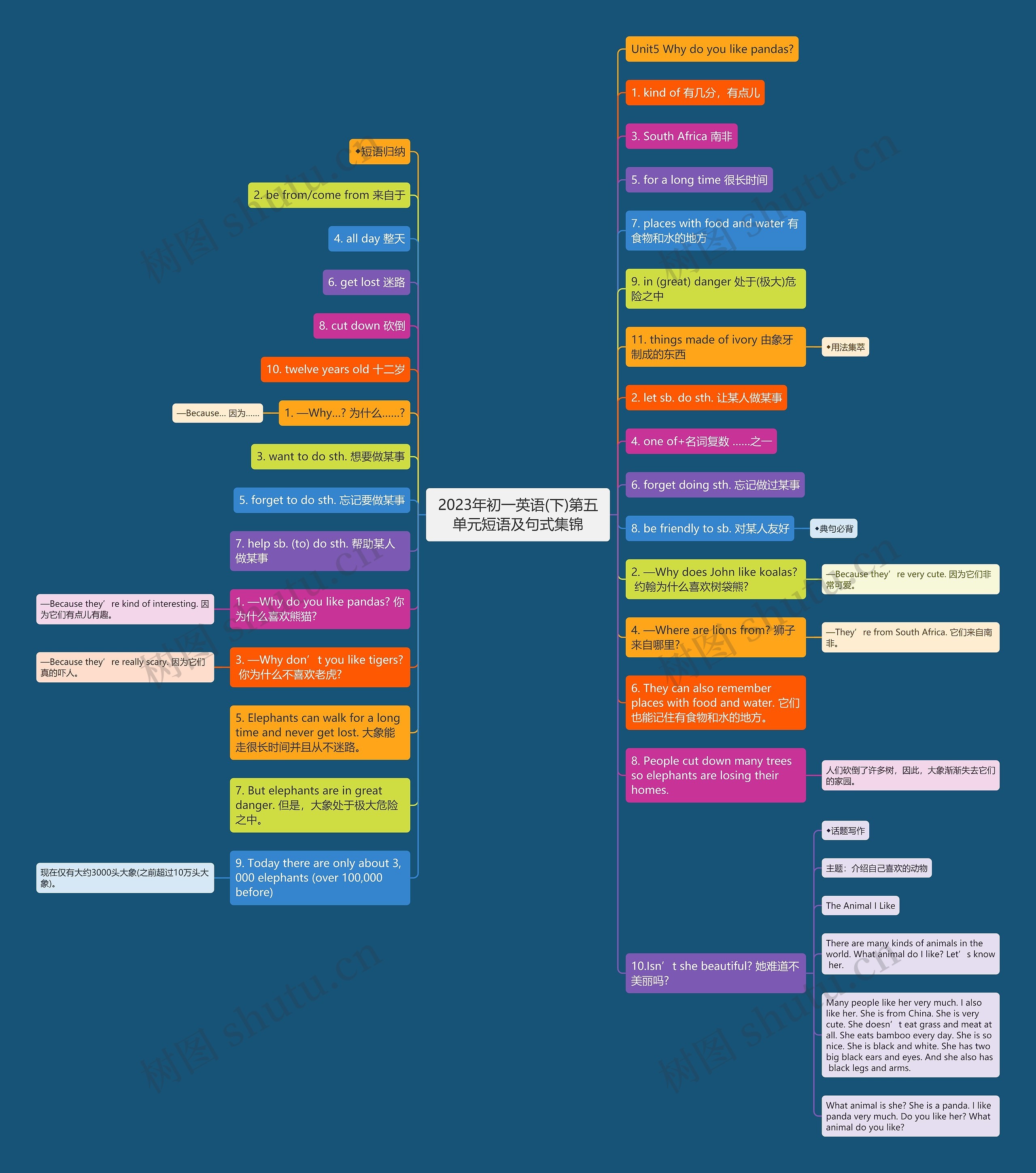 2023年初一英语(下)第五单元短语及句式集锦思维导图