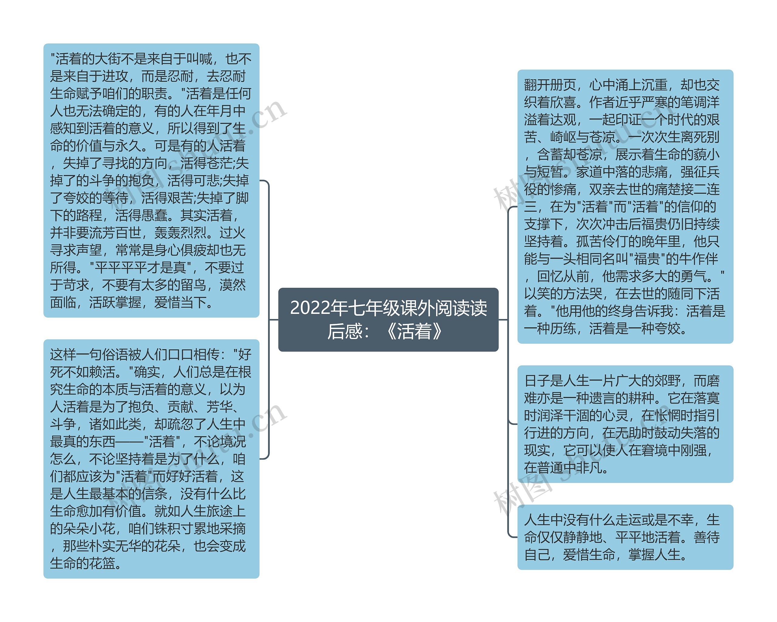 2022年七年级课外阅读读后感：《活着》