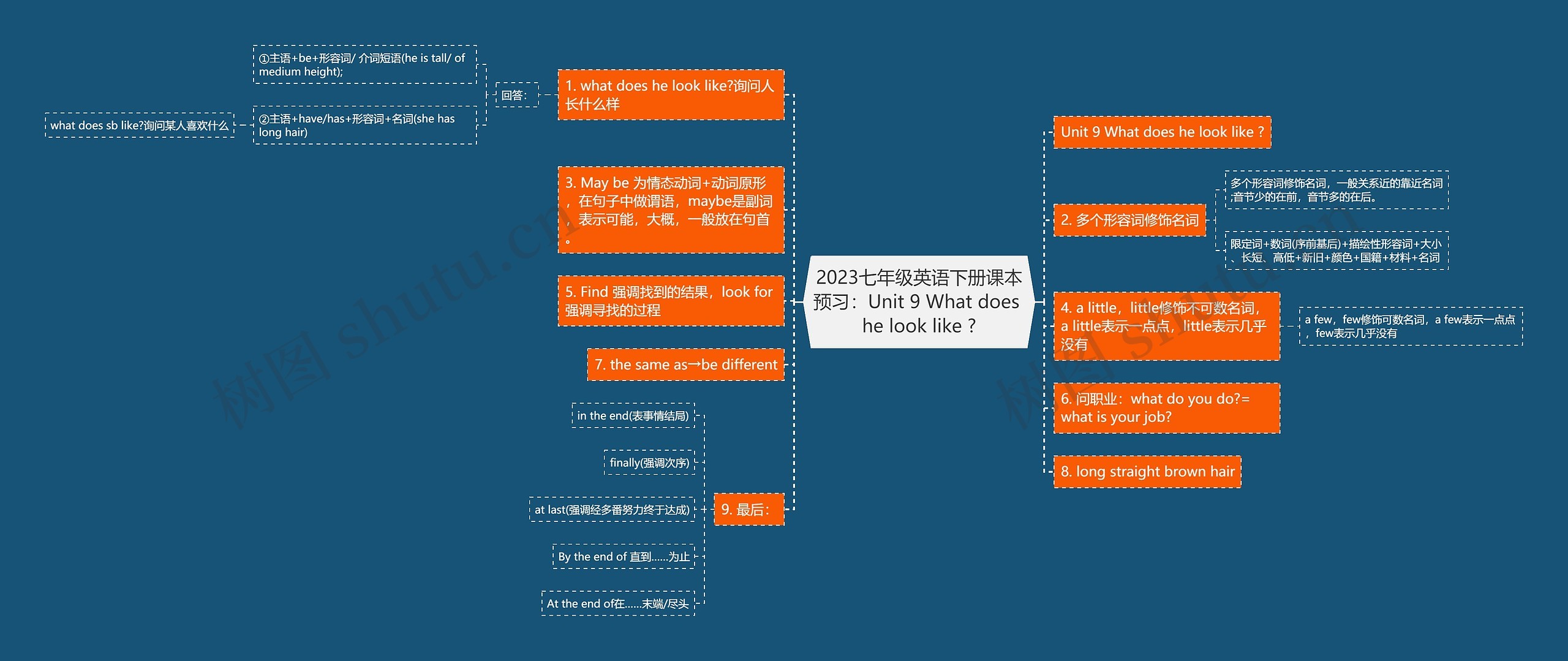 2023七年级英语下册课本预习：Unit 9 What does he look like ?思维导图