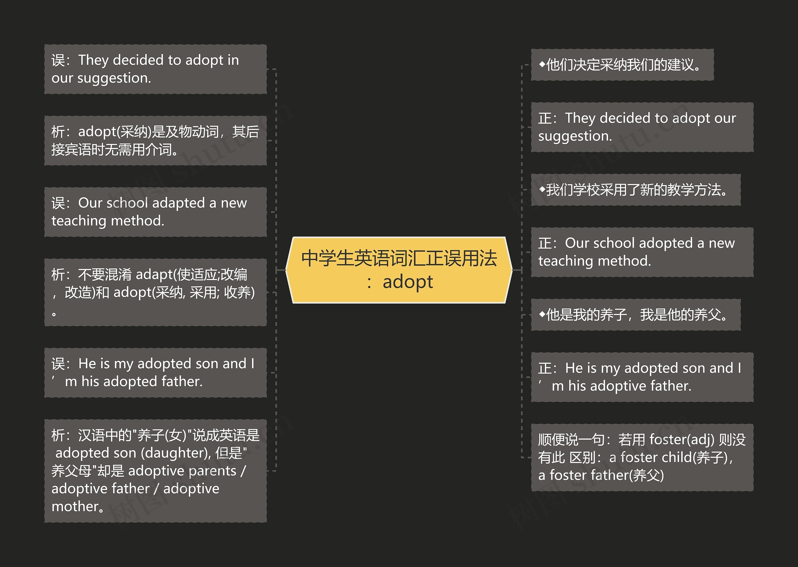 中学生英语词汇正误用法：adopt