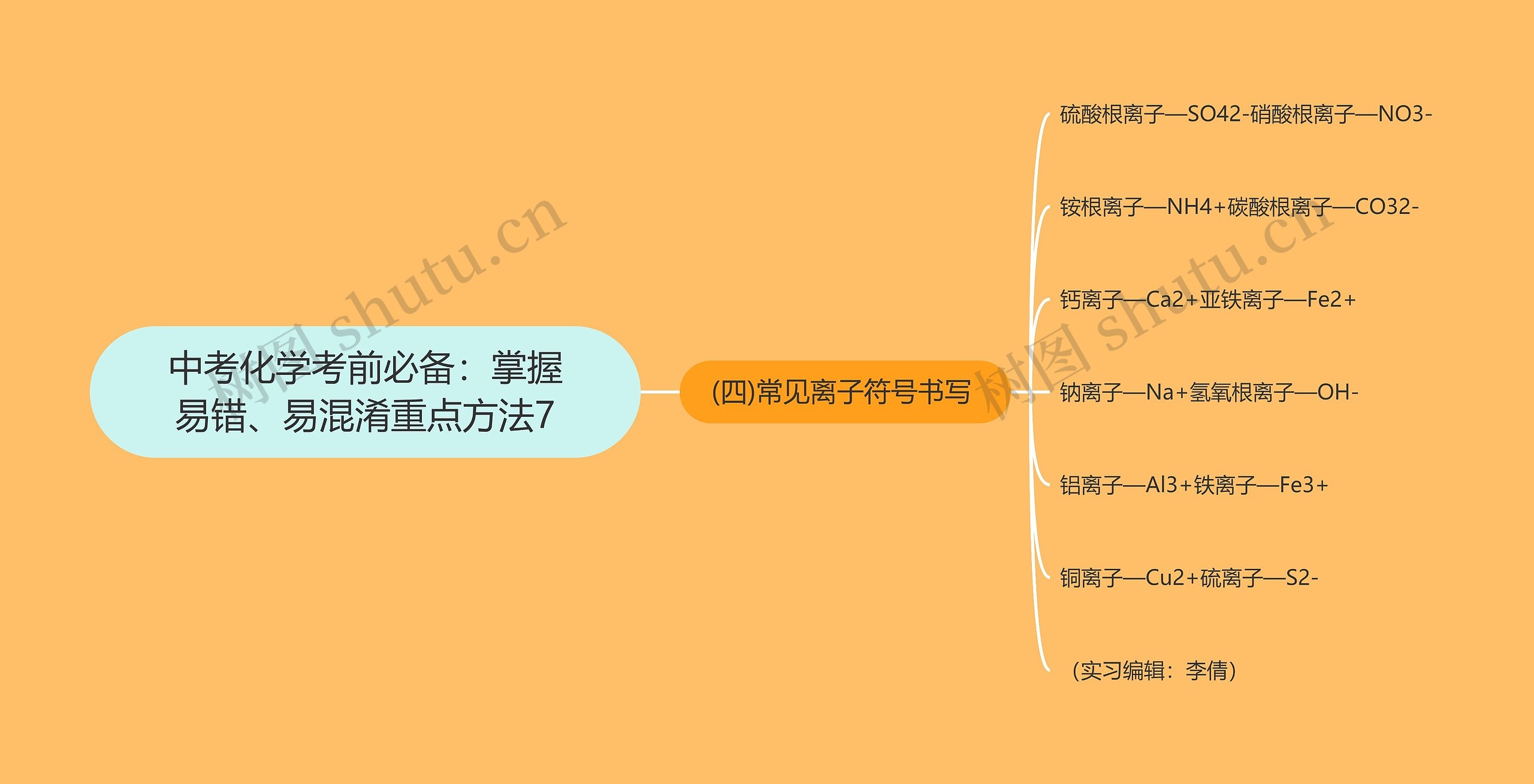 中考化学考前必备：掌握易错、易混淆重点方法7思维导图