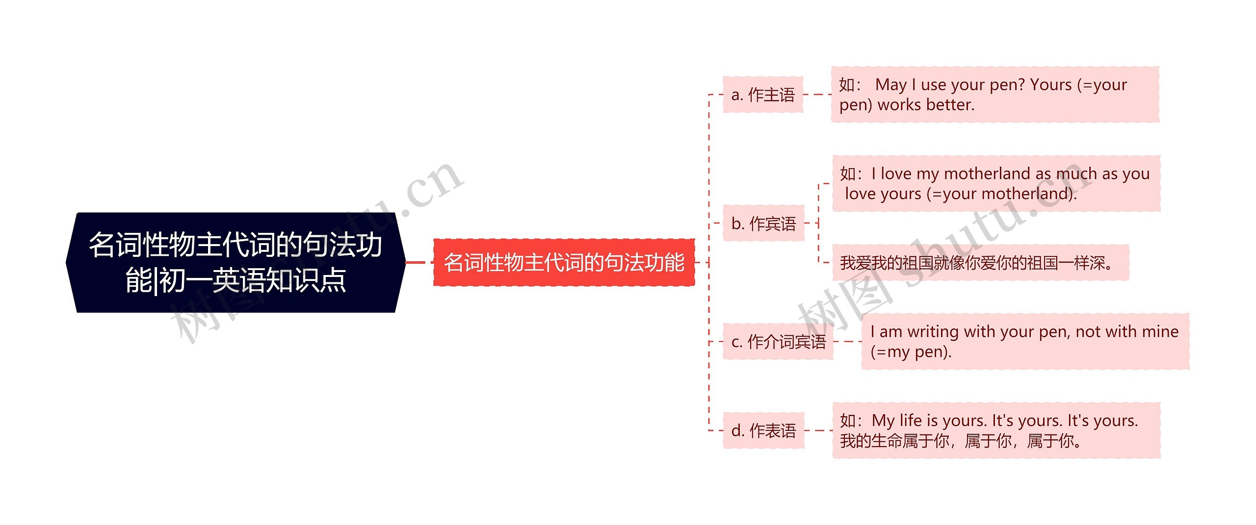 名词性物主代词的句法功能|初一英语知识点