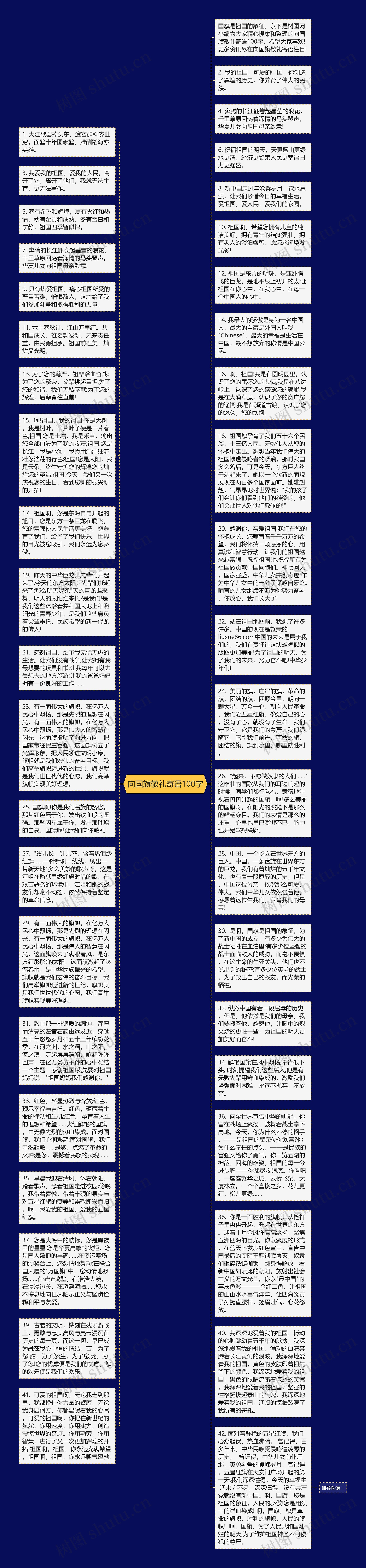 向国旗敬礼寄语100字