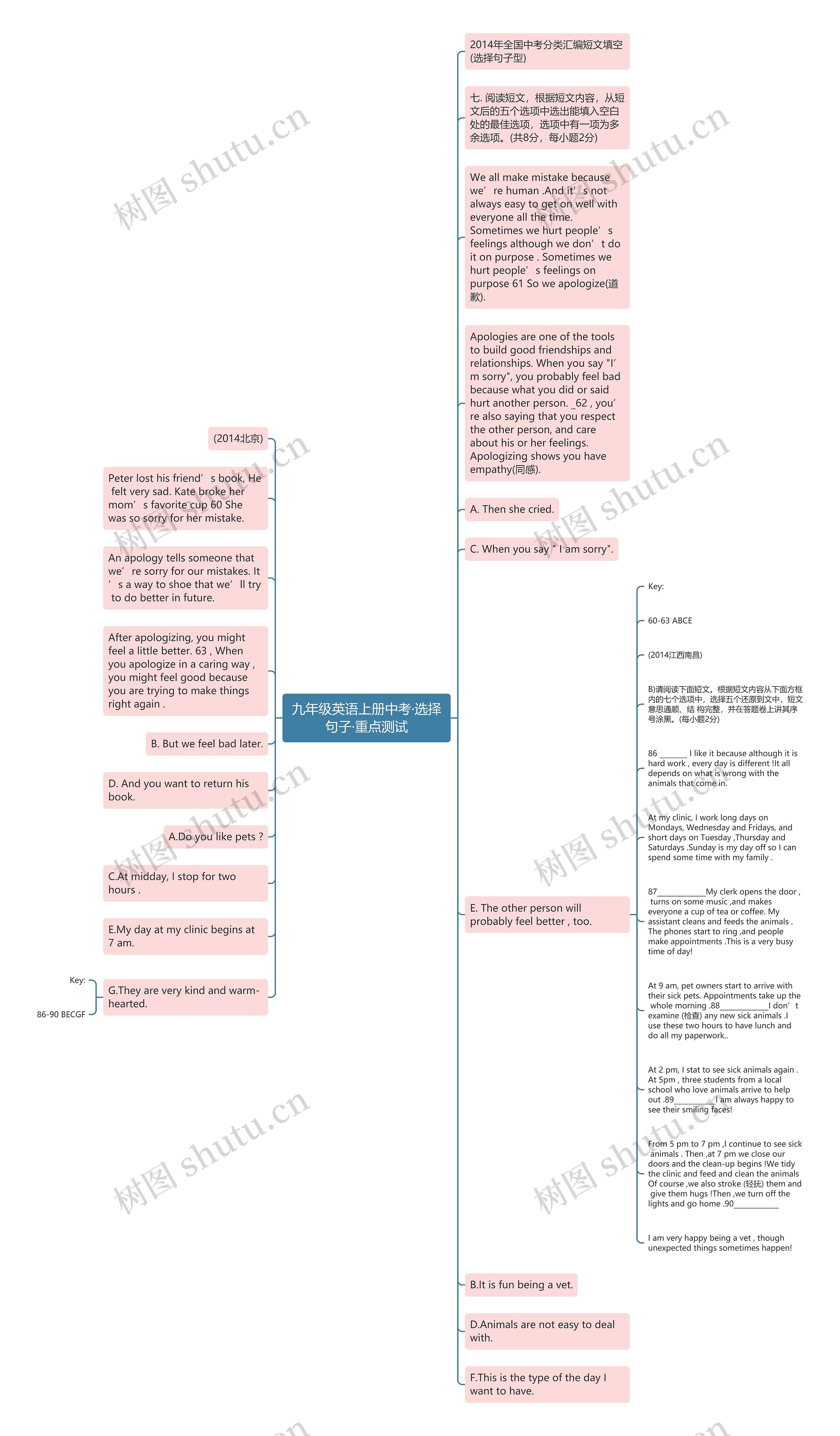 九年级英语上册中考·选择句子·重点测试思维导图