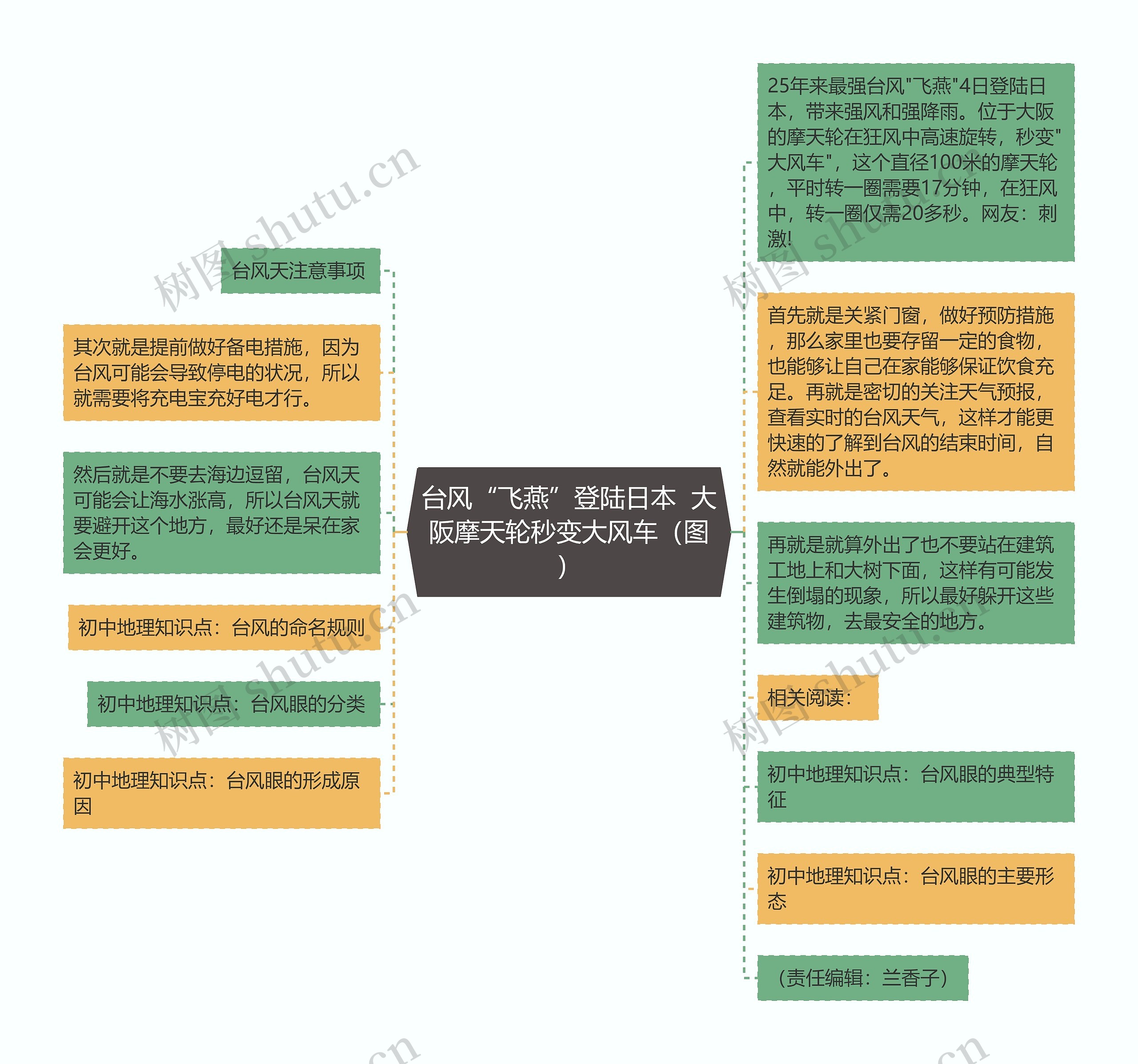 台风“飞燕”登陆日本  大阪摩天轮秒变大风车（图）