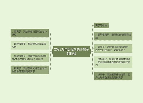 2023九年级化学关于离子的检验