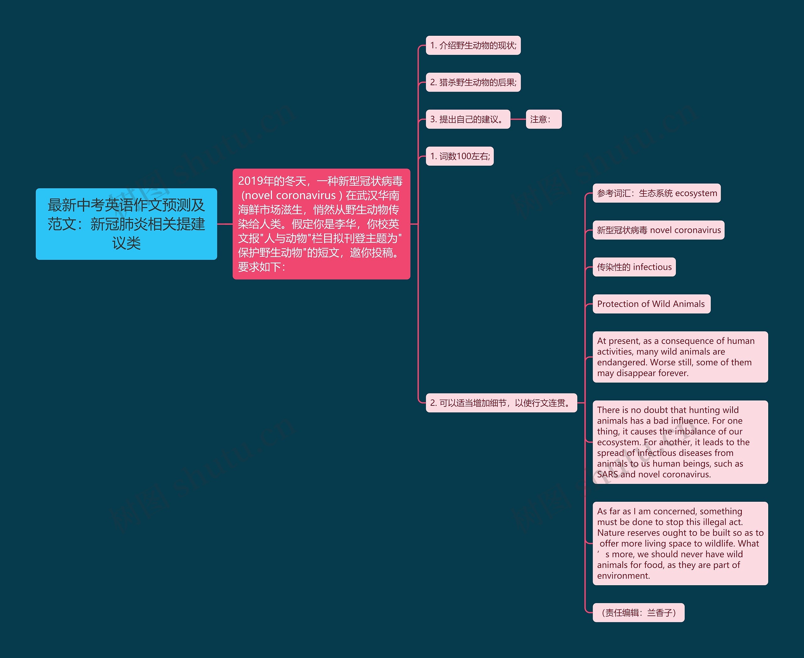 最新中考英语作文预测及范文：新冠肺炎相关提建议类思维导图