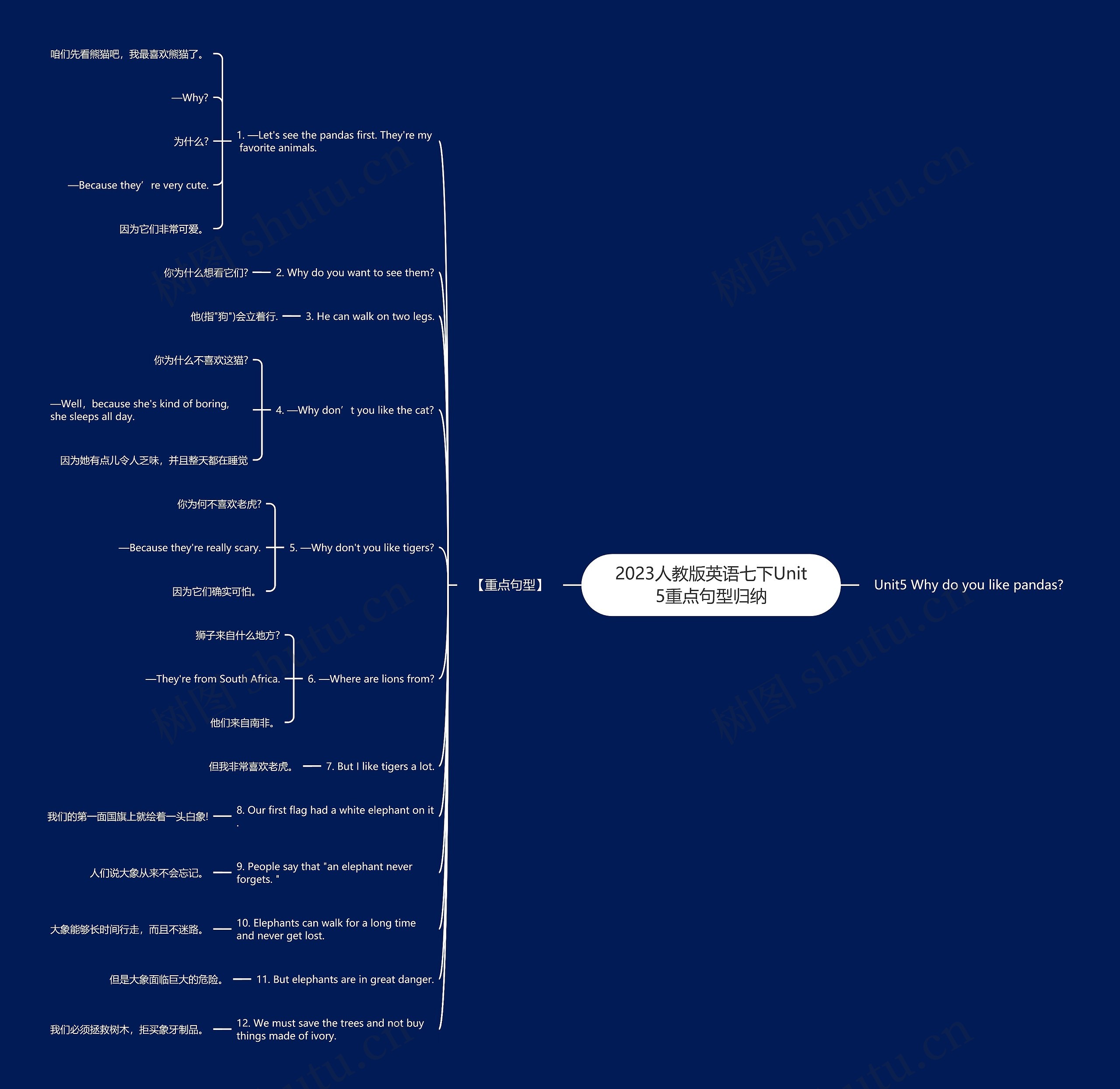 2023人教版英语七下Unit5重点句型归纳思维导图