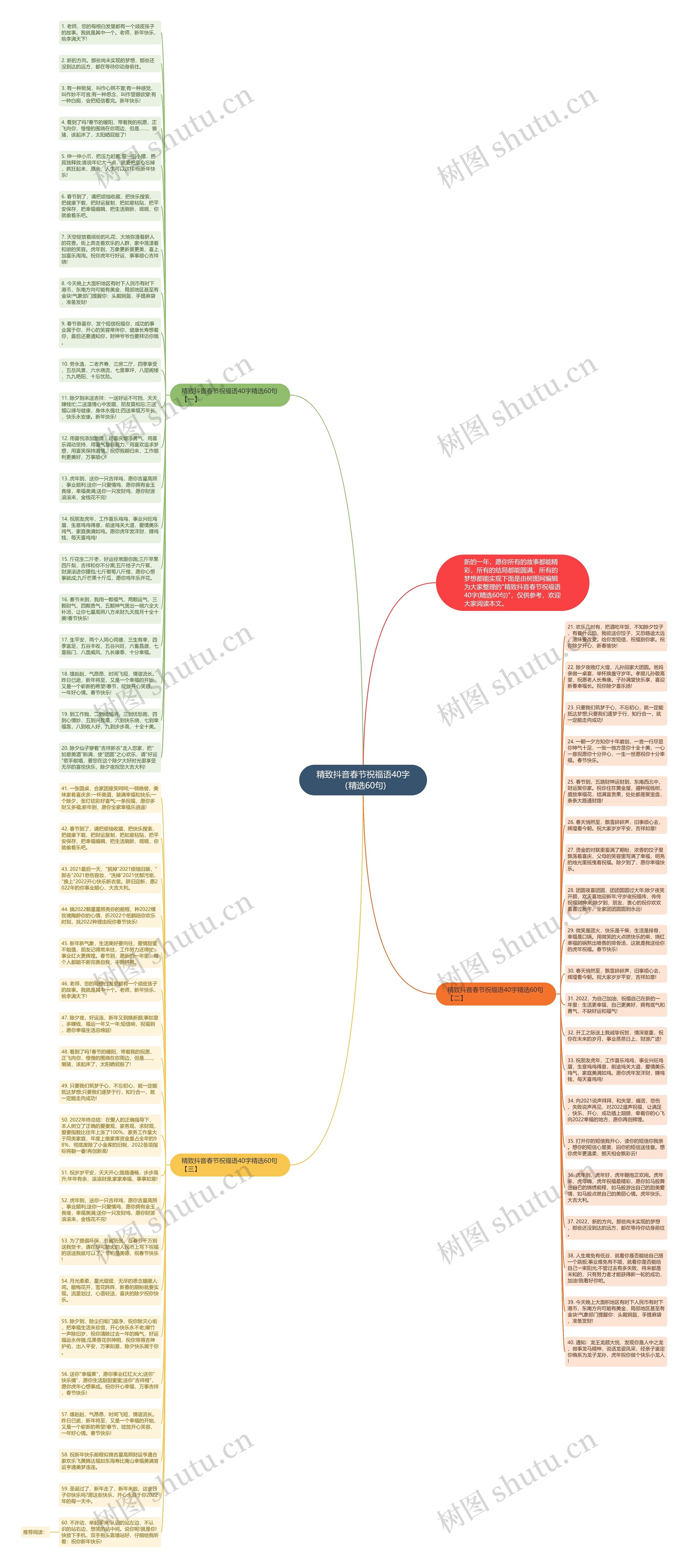 精致抖音春节祝福语40字（精选60句)思维导图