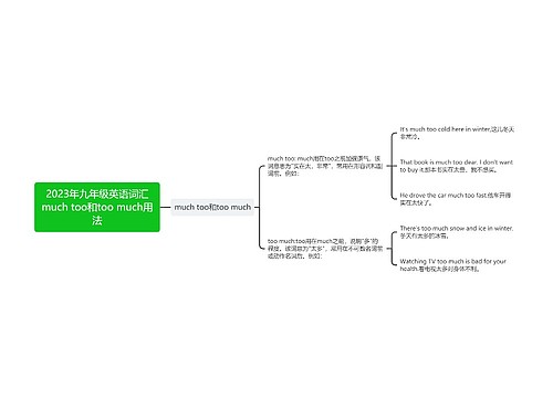 2023年九年级英语词汇much too和too much用法