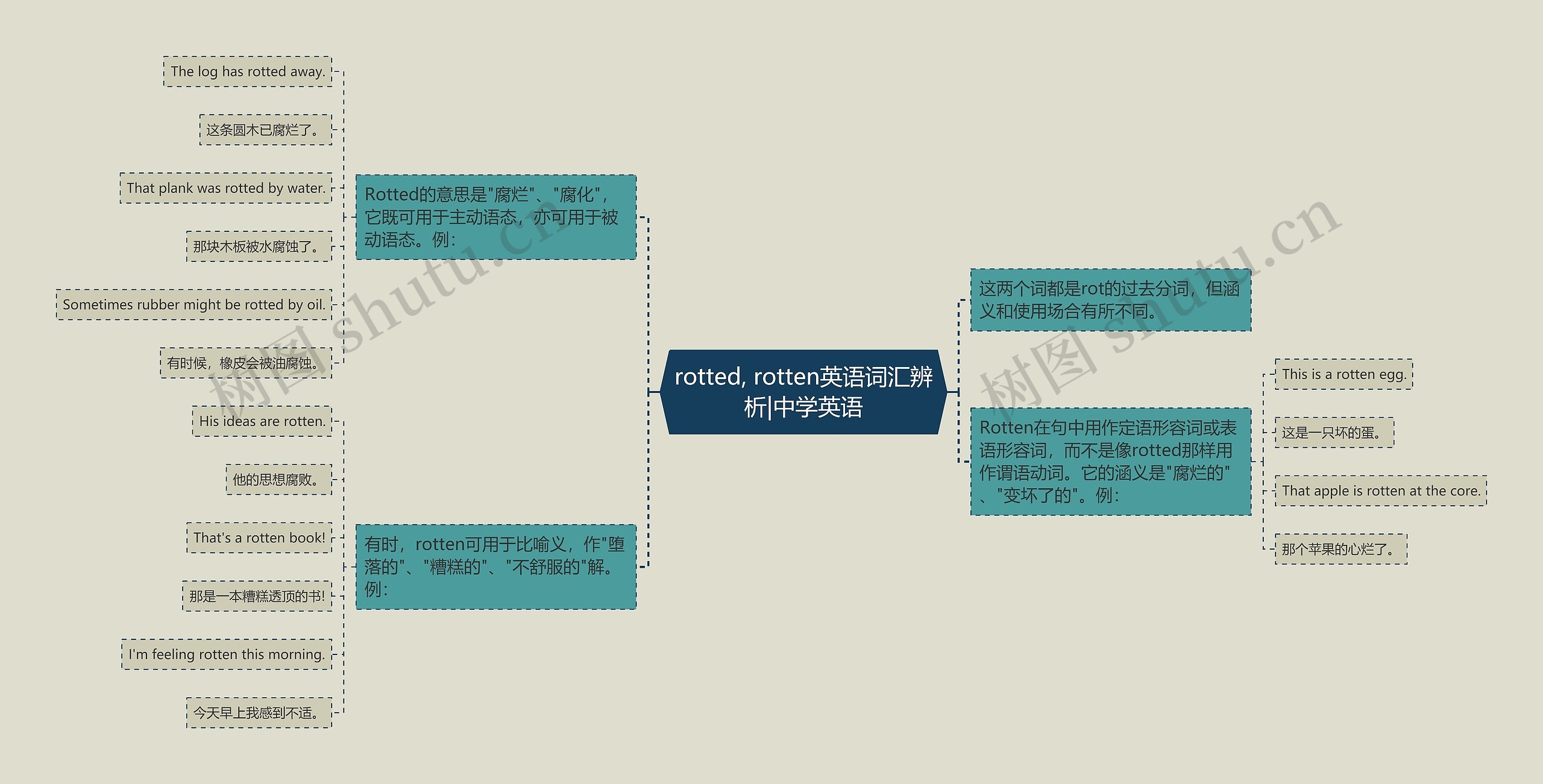 rotted, rotten英语词汇辨析|中学英语