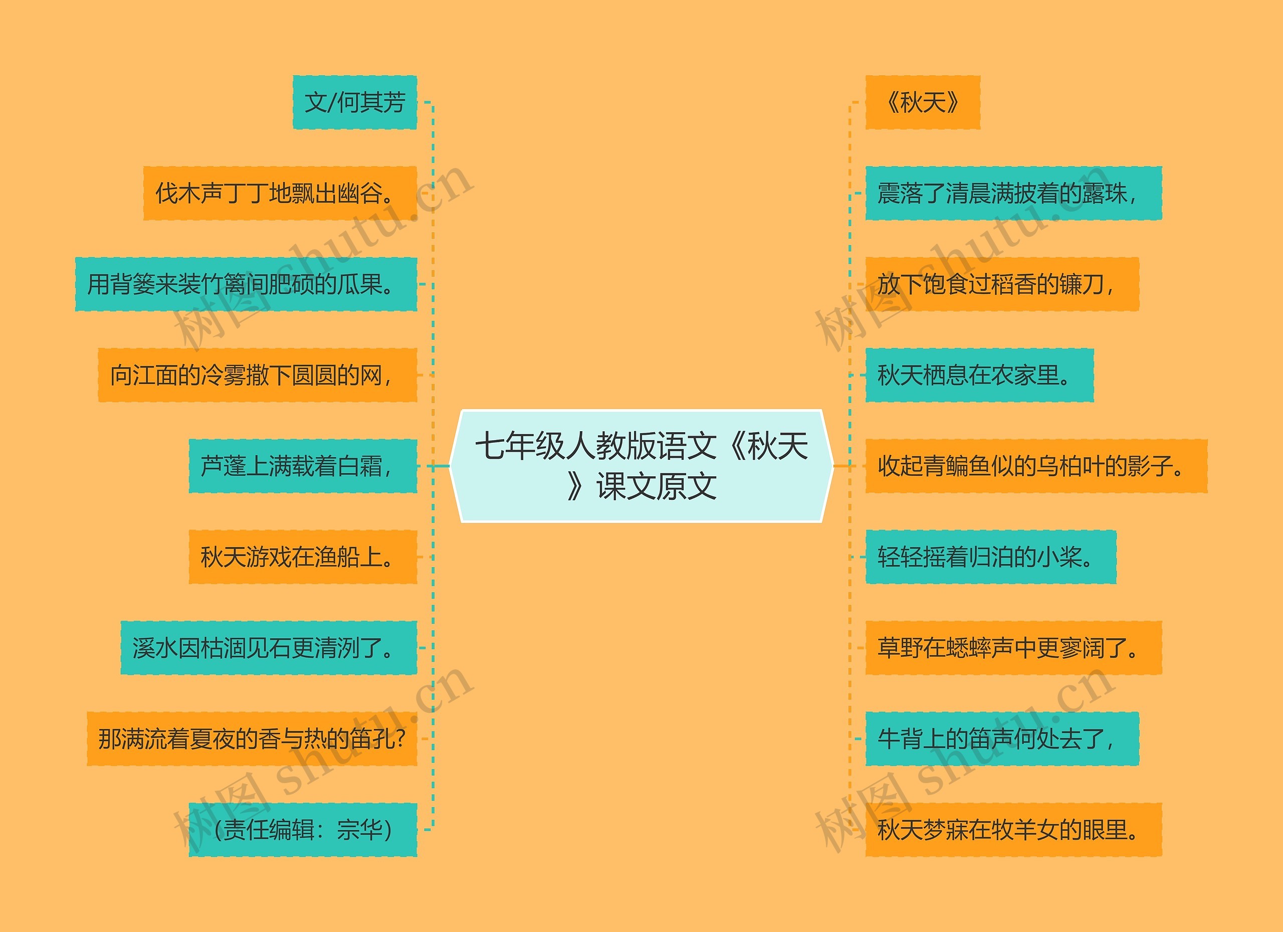 七年级人教版语文《秋天》课文原文思维导图