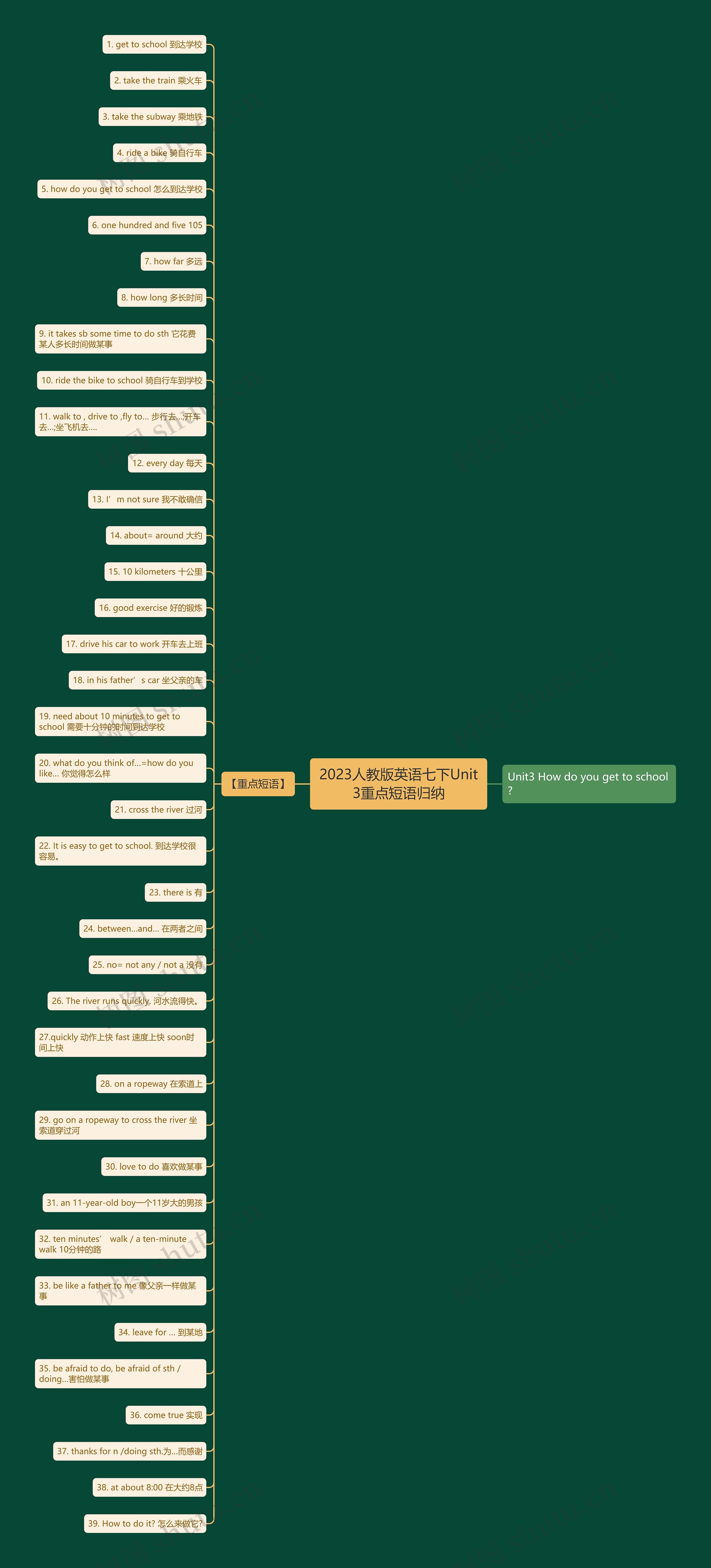 2023人教版英语七下Unit3重点短语归纳思维导图