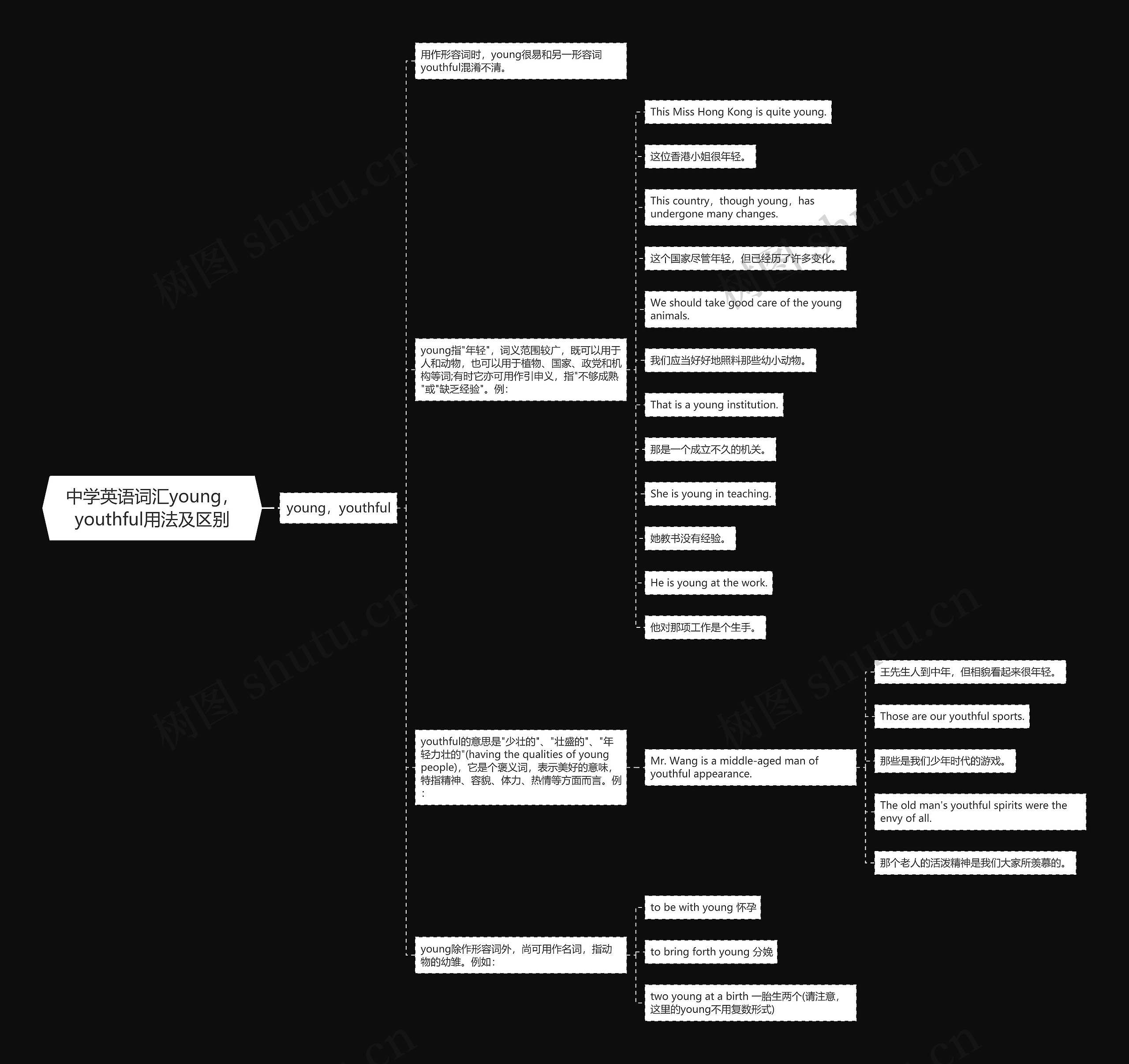 中学英语词汇young，youthful用法及区别思维导图