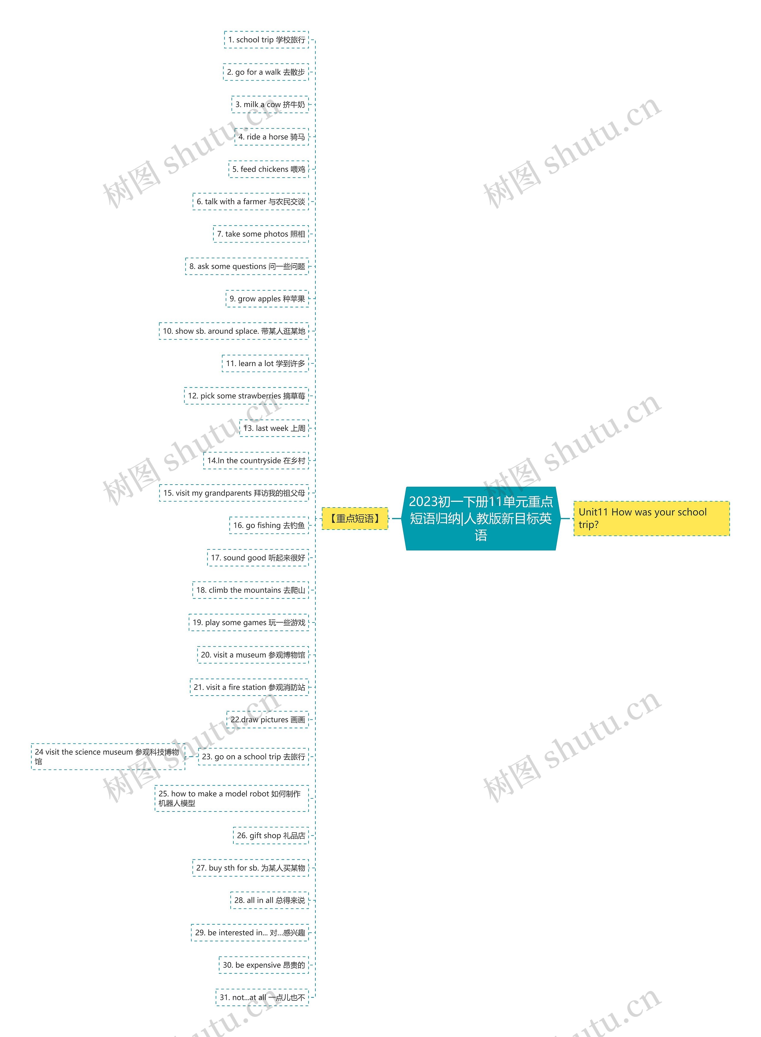 2023初一下册11单元重点短语归纳|人教版新目标英语思维导图