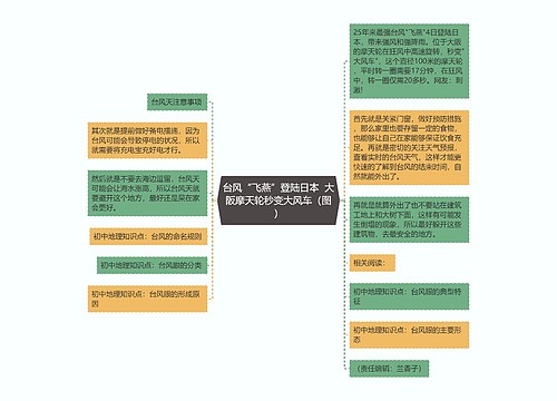 台风“飞燕”登陆日本  大阪摩天轮秒变大风车（图）