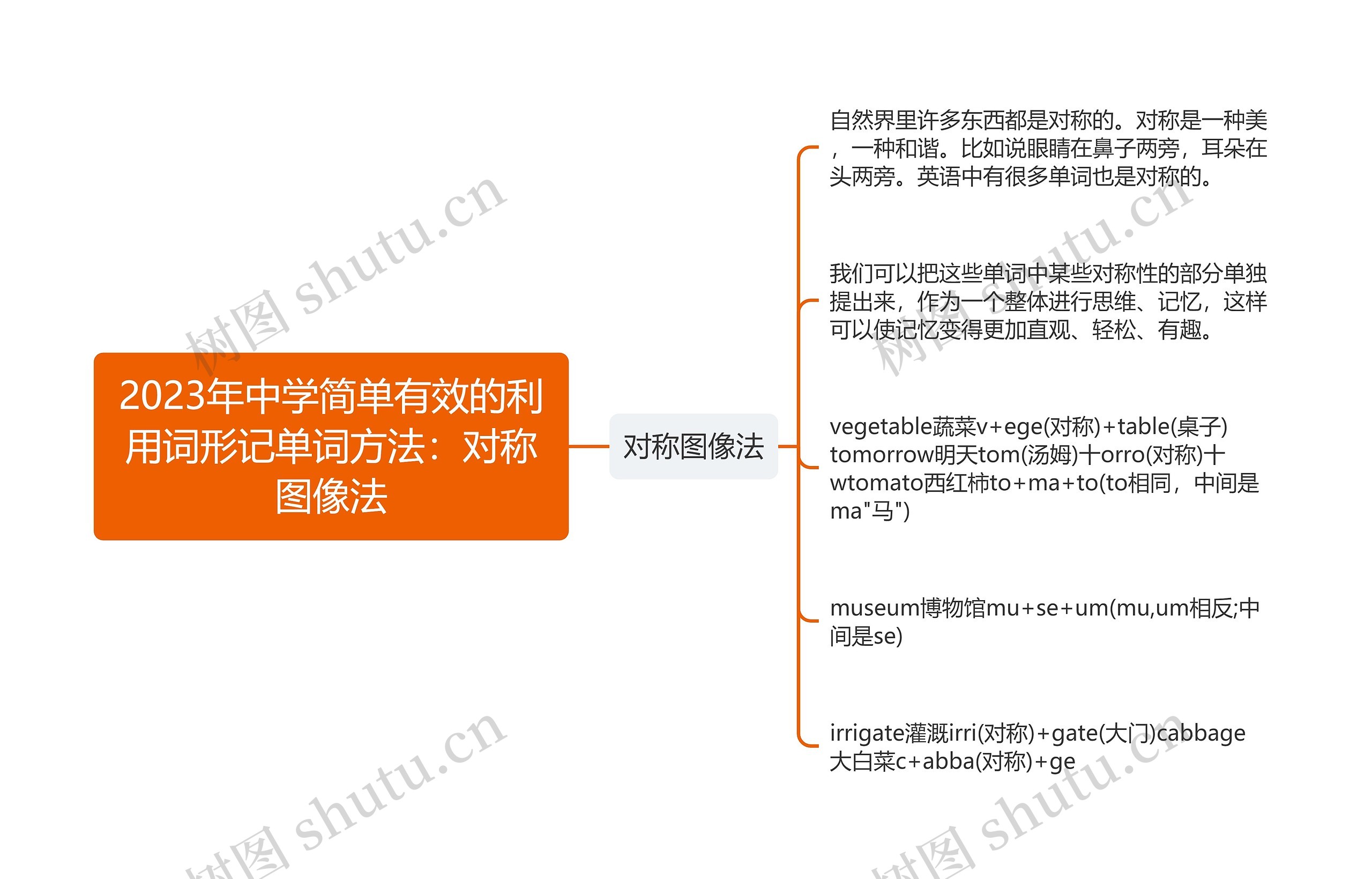 2023年中学简单有效的利用词形记单词方法：对称图像法