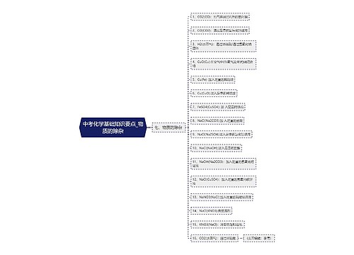 中考化学基础知识要点_物质的除杂