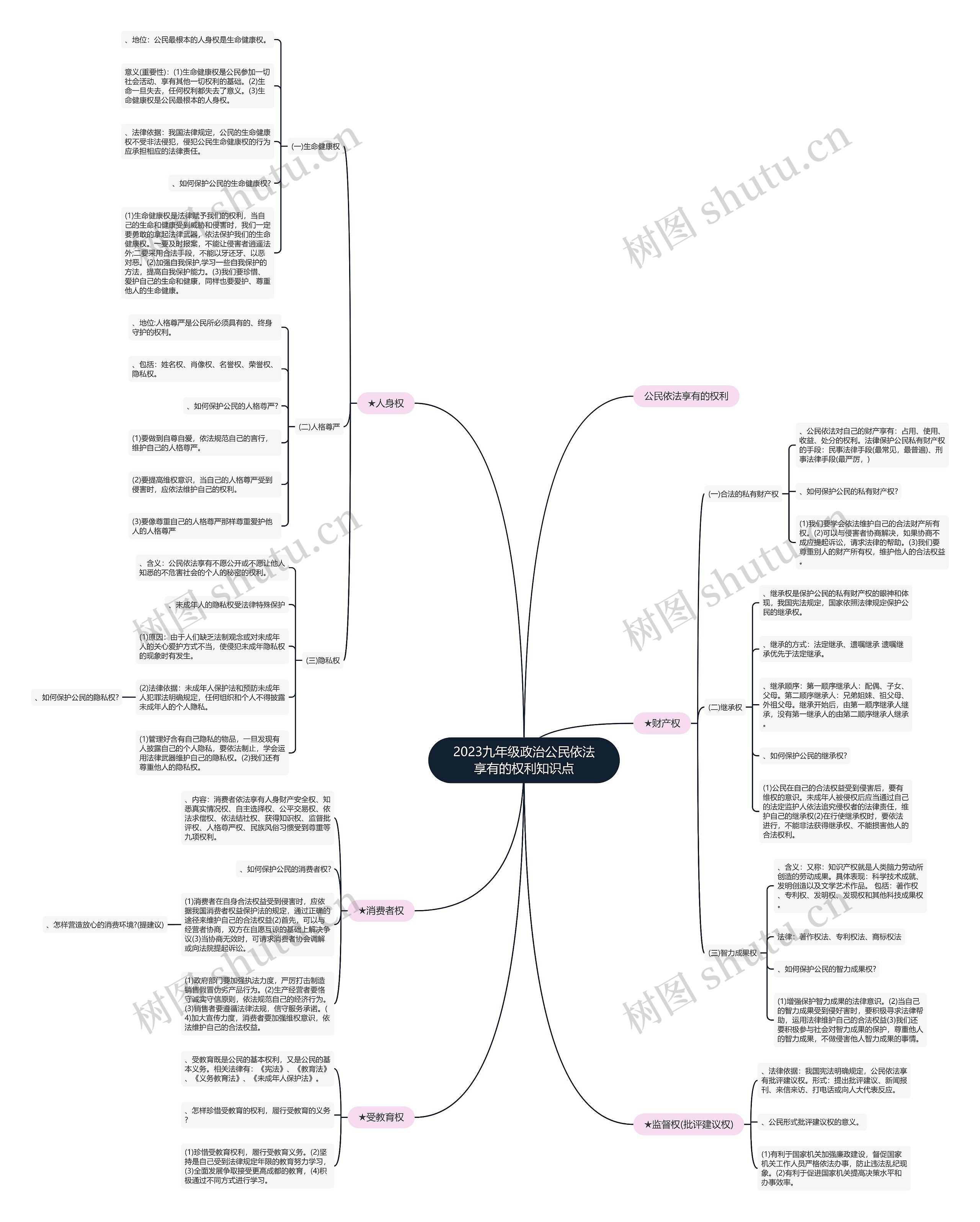 2023九年级政治公民依法享有的权利知识点思维导图