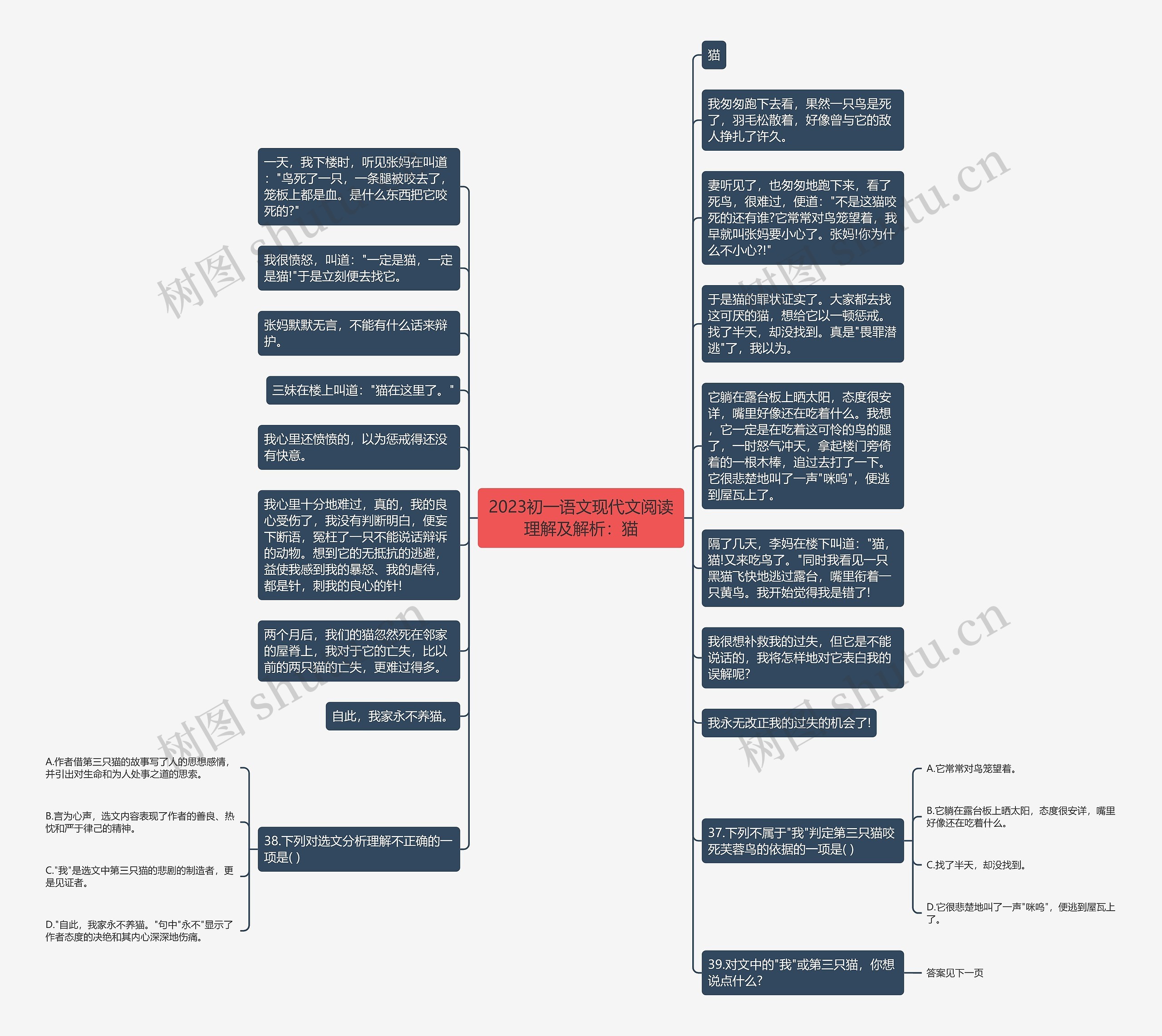 2023初一语文现代文阅读理解及解析：猫思维导图