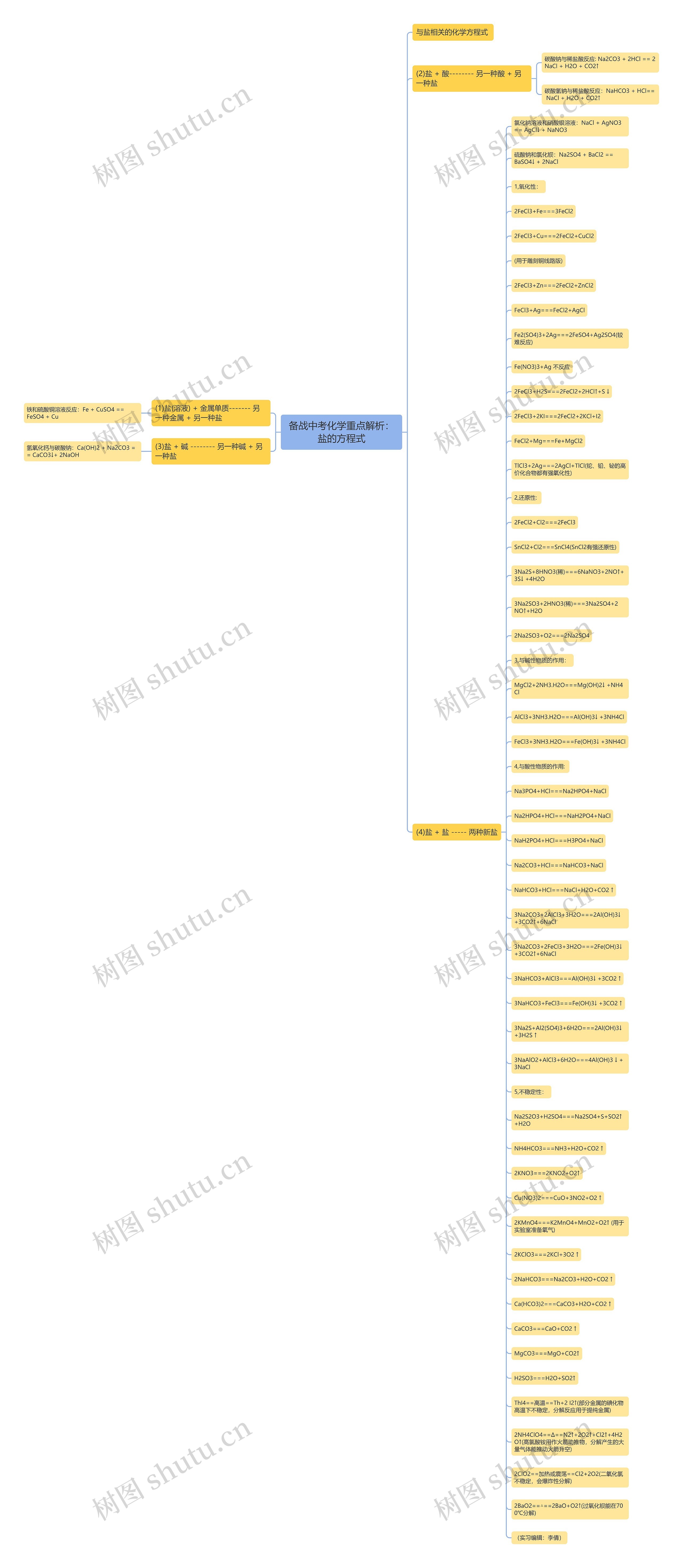 备战中考化学重点解析：盐的方程式思维导图