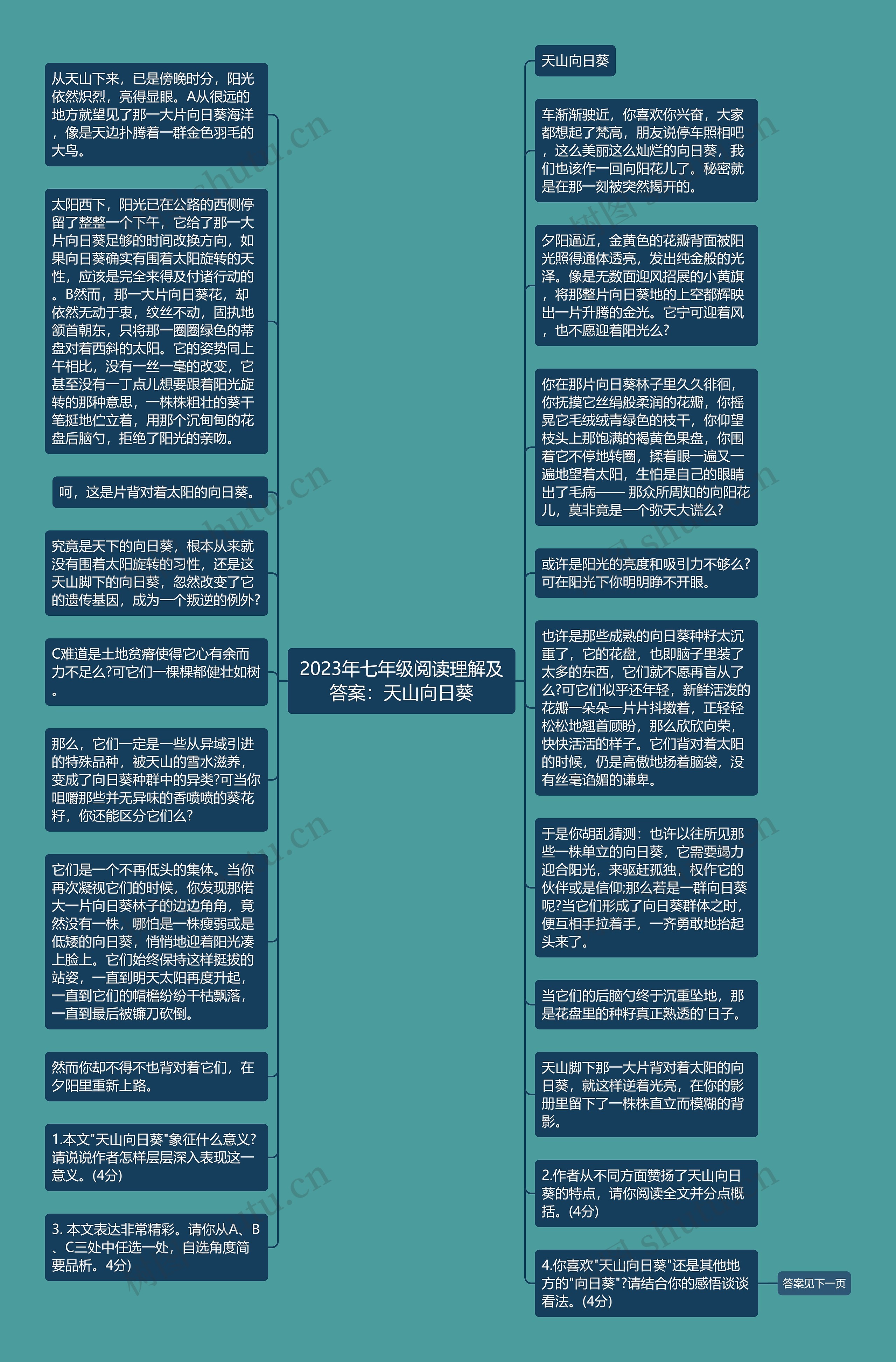 2023年七年级阅读理解及答案：天山向日葵思维导图