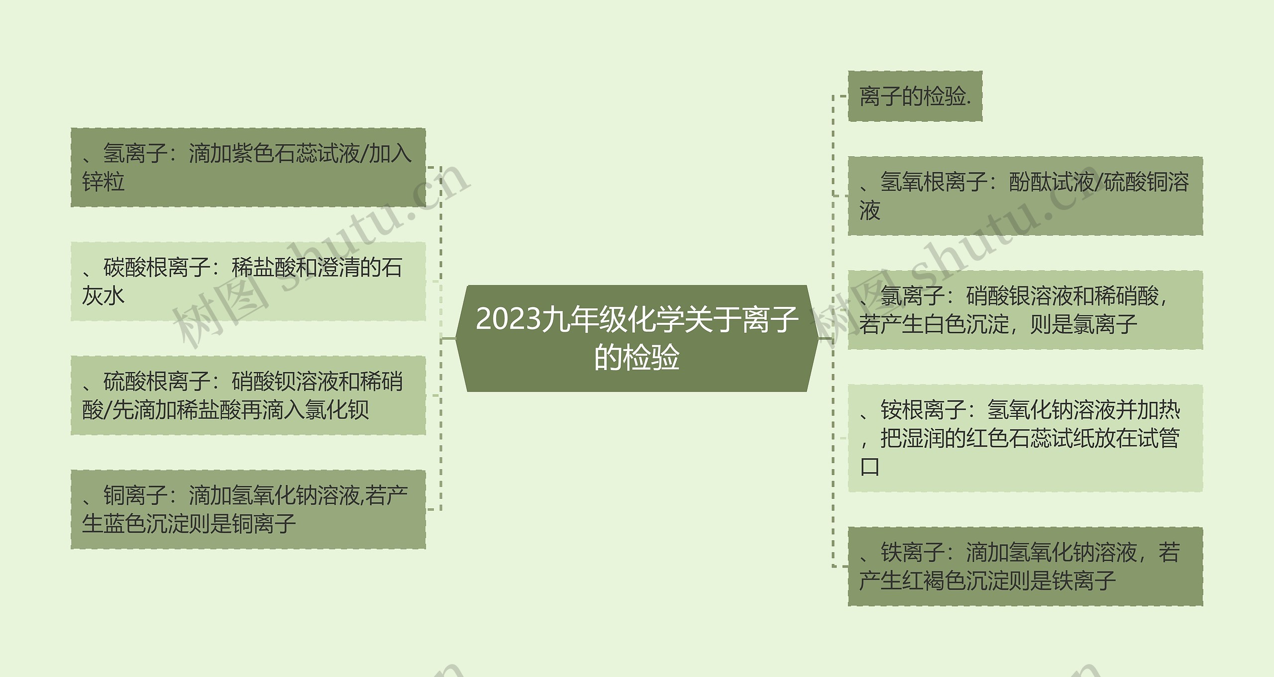 2023九年级化学关于离子的检验思维导图