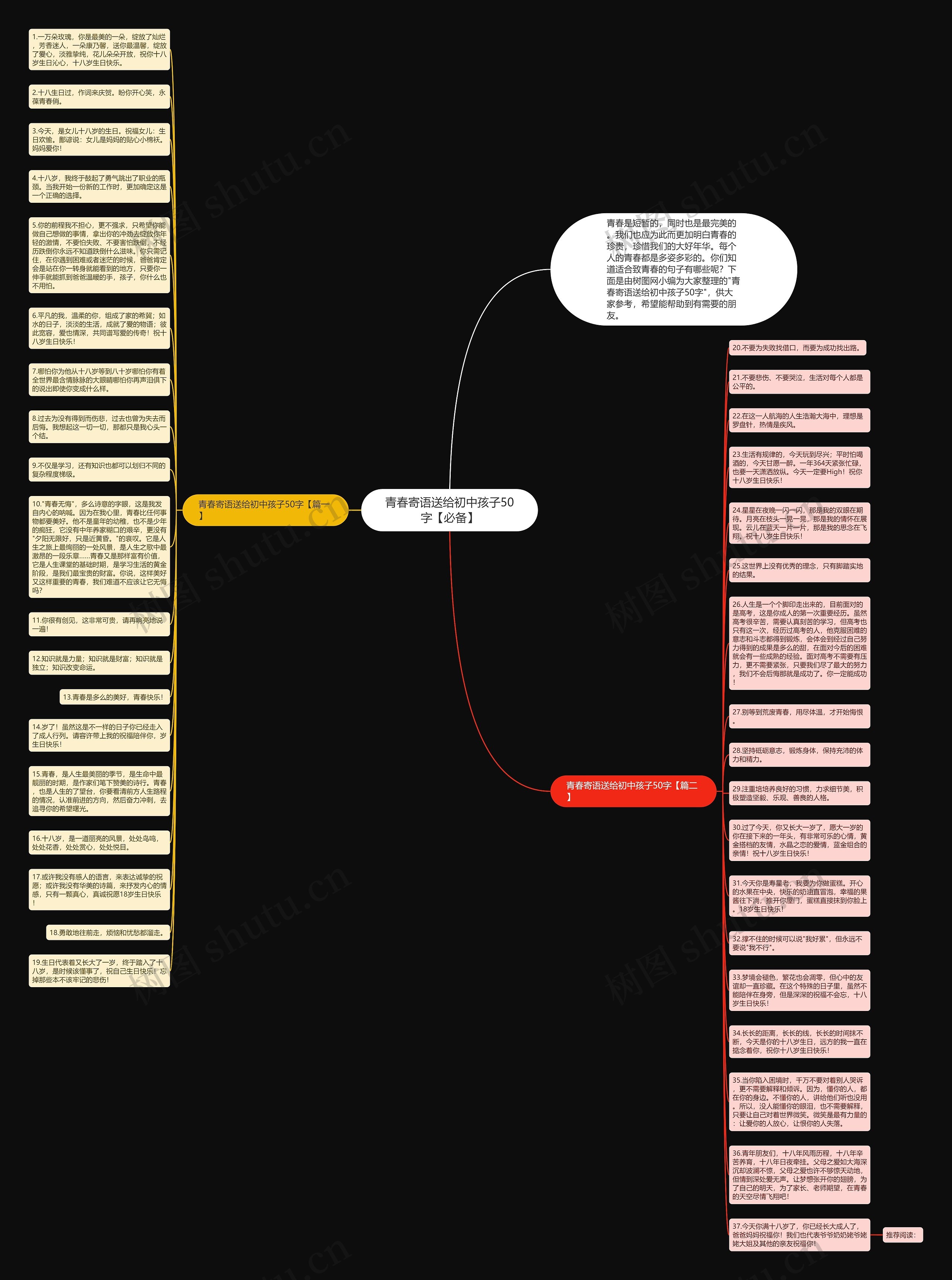 青春寄语送给初中孩子50字【必备】思维导图