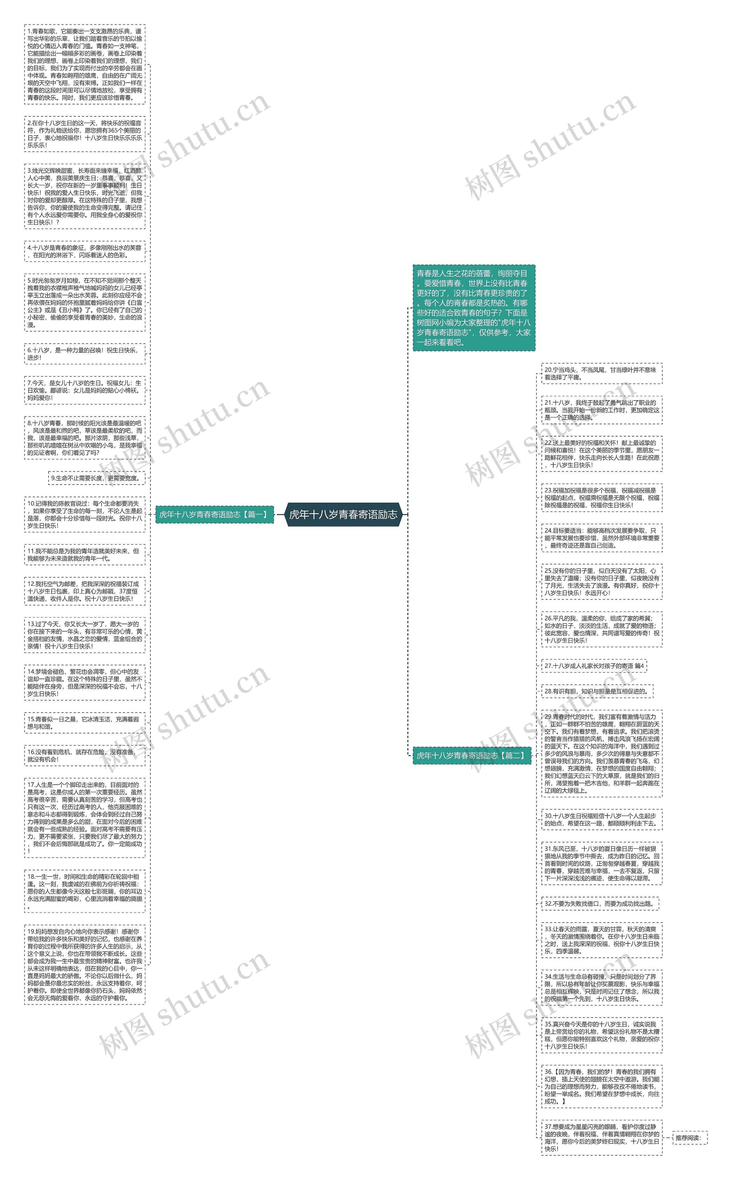 虎年十八岁青春寄语励志思维导图