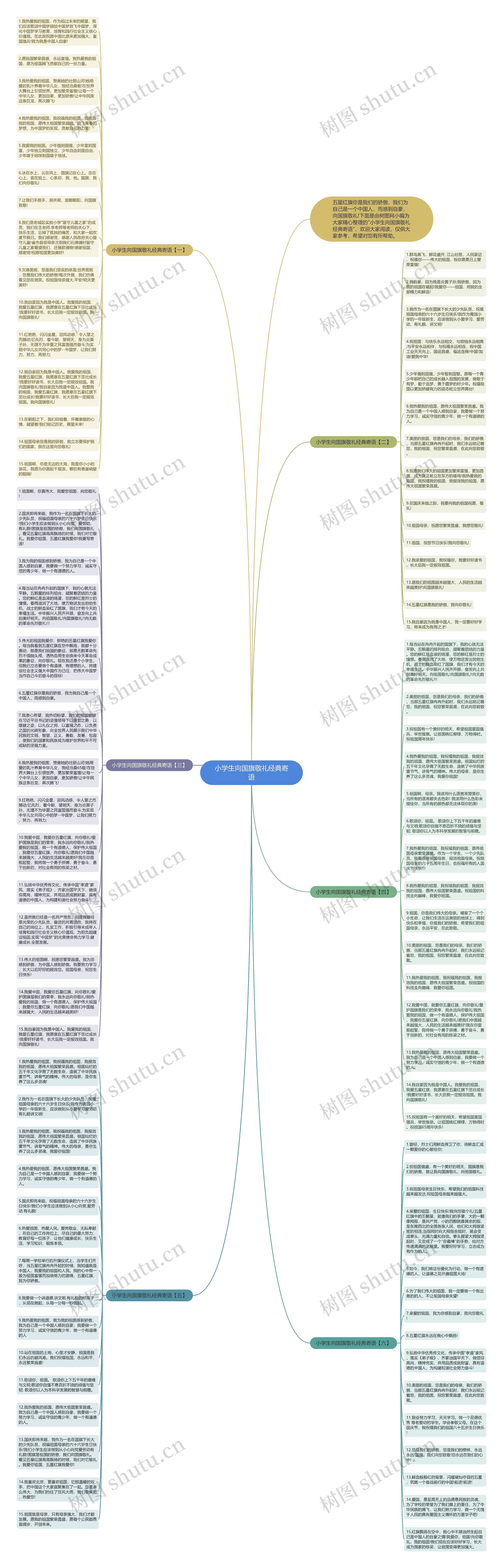 小学生向国旗敬礼经典寄语思维导图